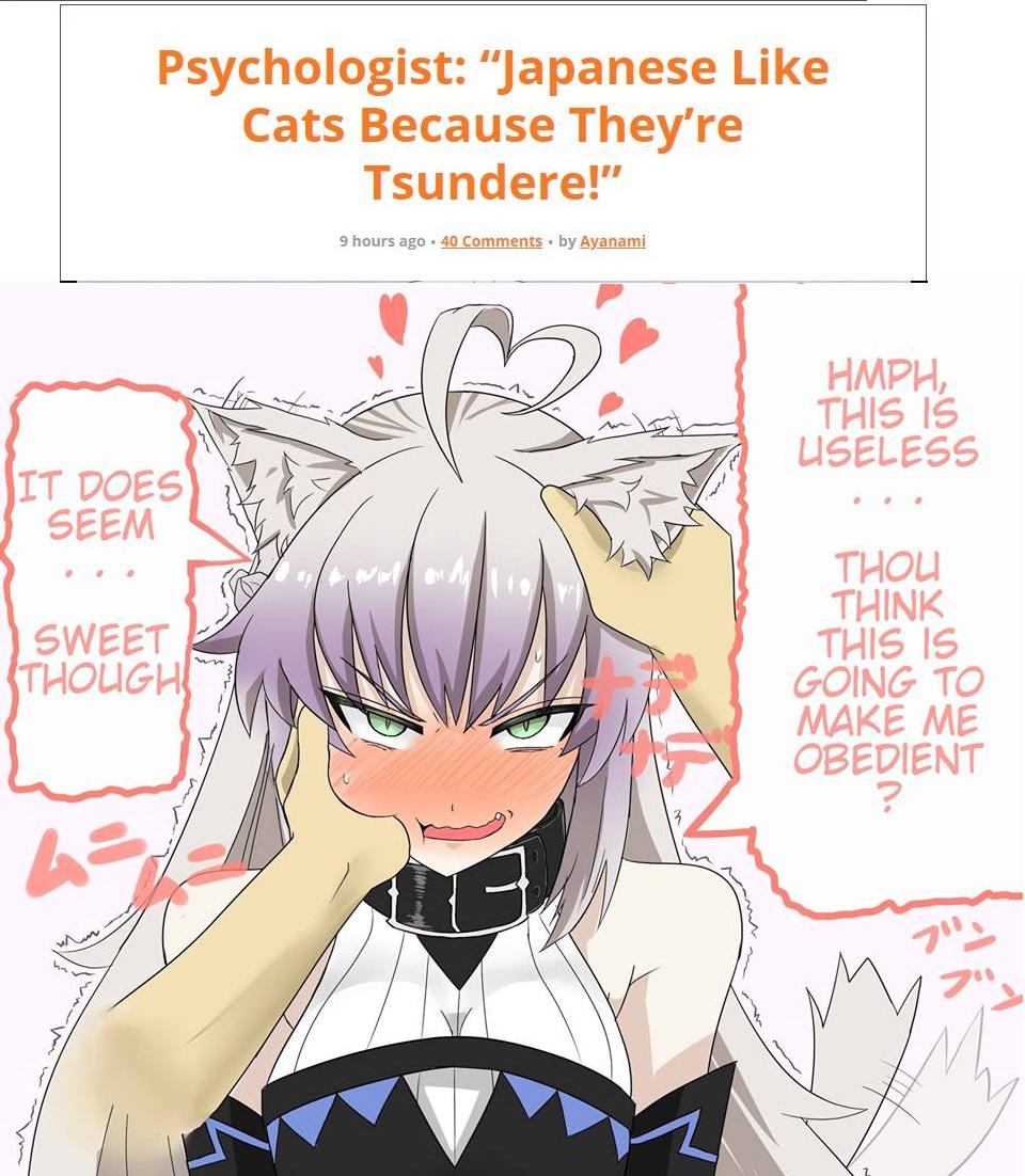 This is the Biggest Reason to keep researching into Cat Girls Animemes