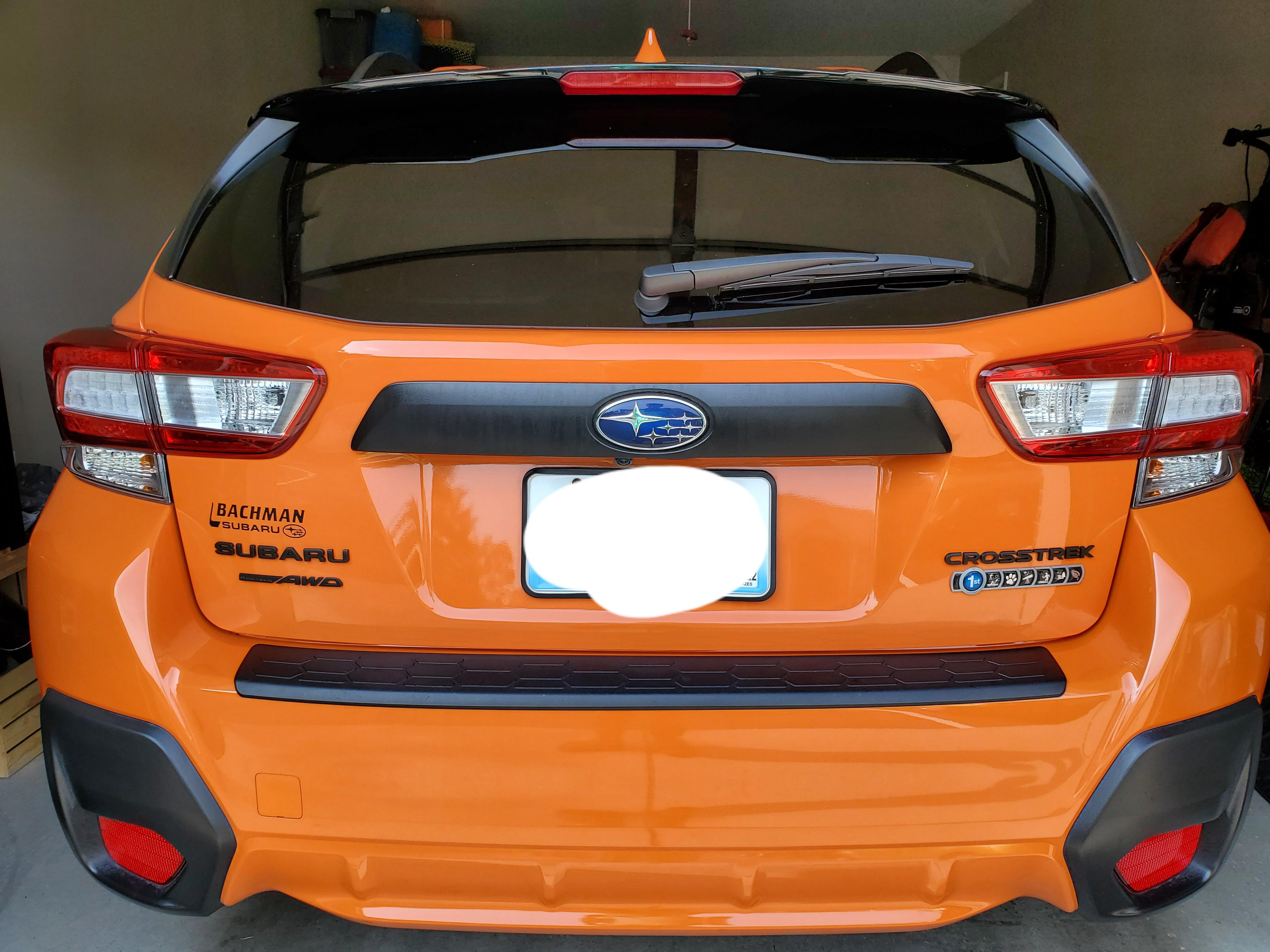 I blacked out the emblems this weekend! My next project is to plasti