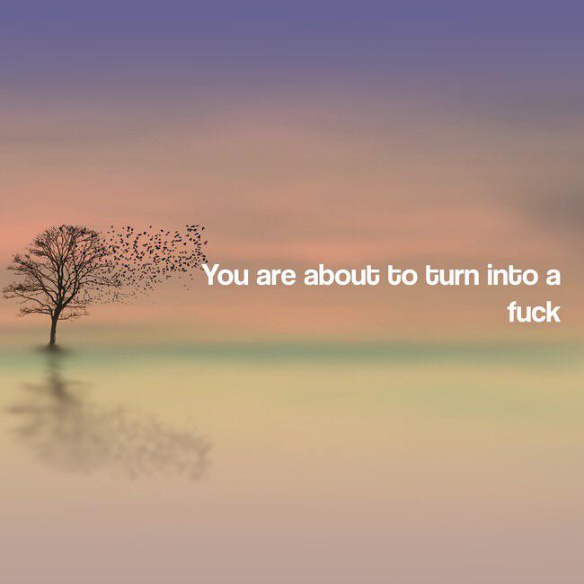 True inspiration inspirobot