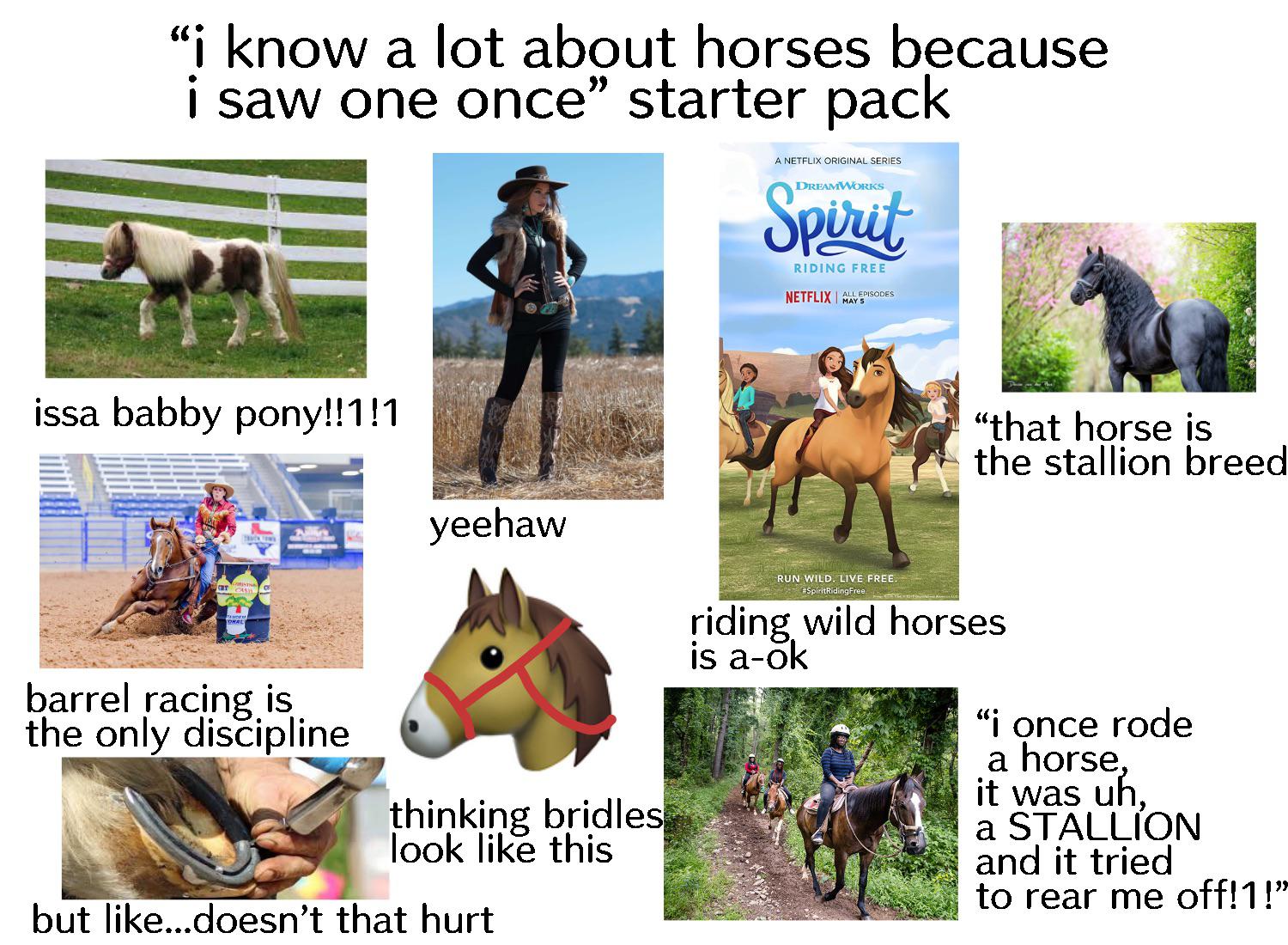 “I know a lot about horses because I saw one once” starter pack r