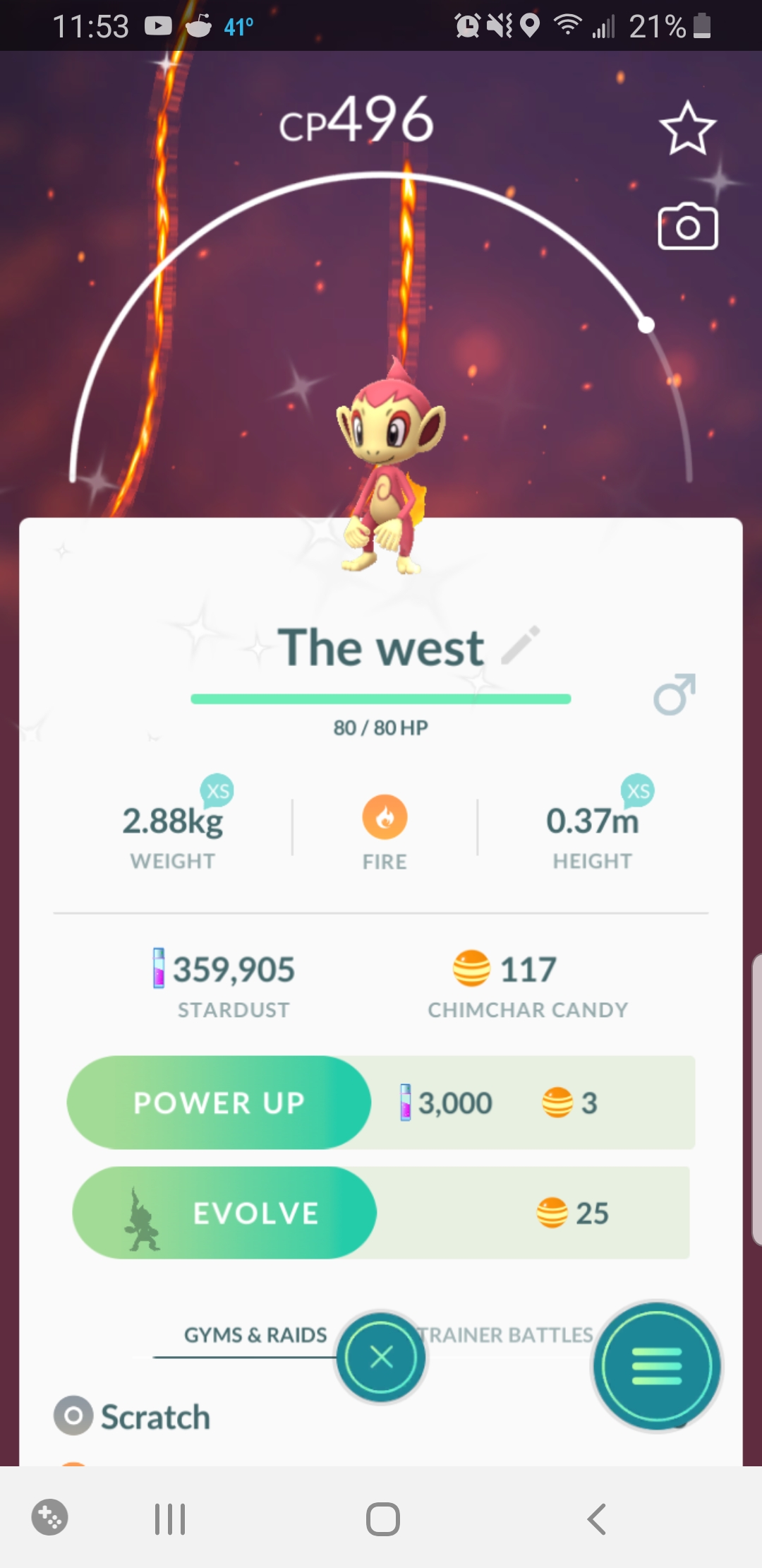 [Pogo] another community day shiny had to take a break