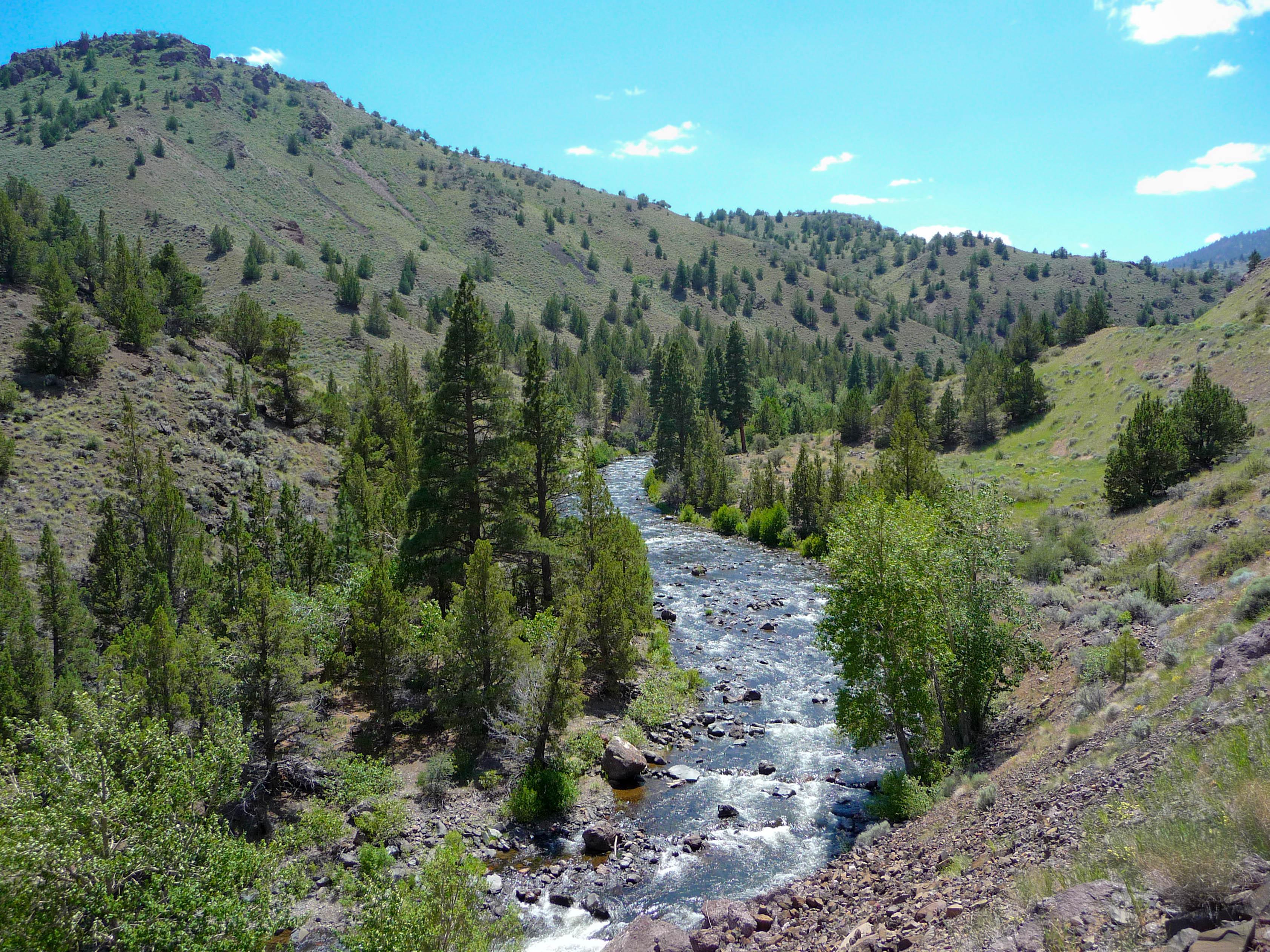Chewaucan River, near Paisley, Oregon r/oregon