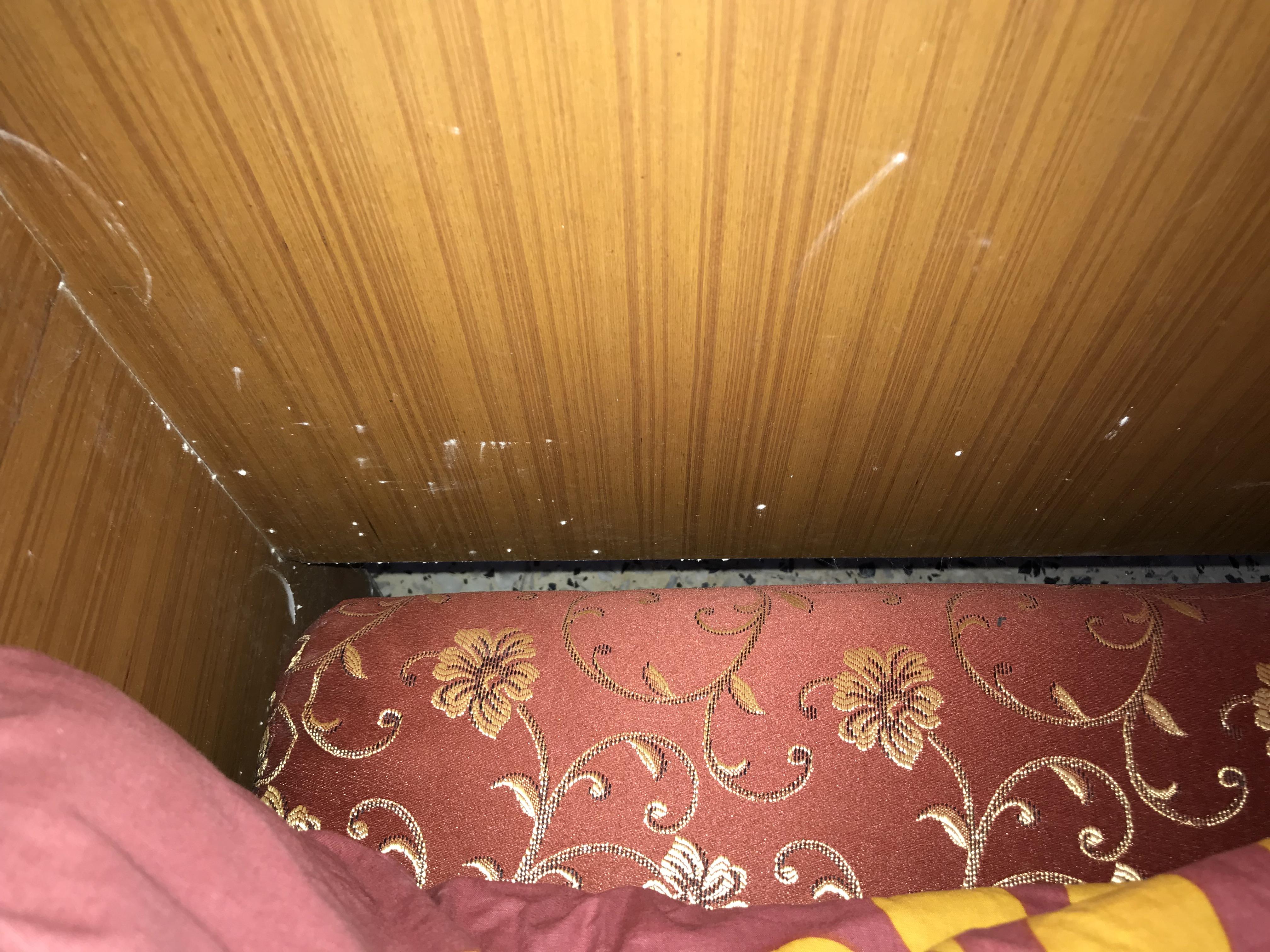 Is this mold in my apartment bed that was left uncleaned for 12 months