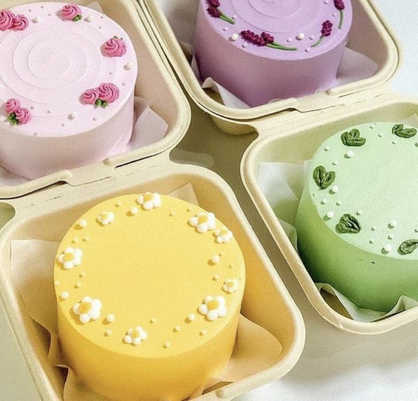 Hey guys, Any idea from where i can buy/order bento cakes? Bento cakes