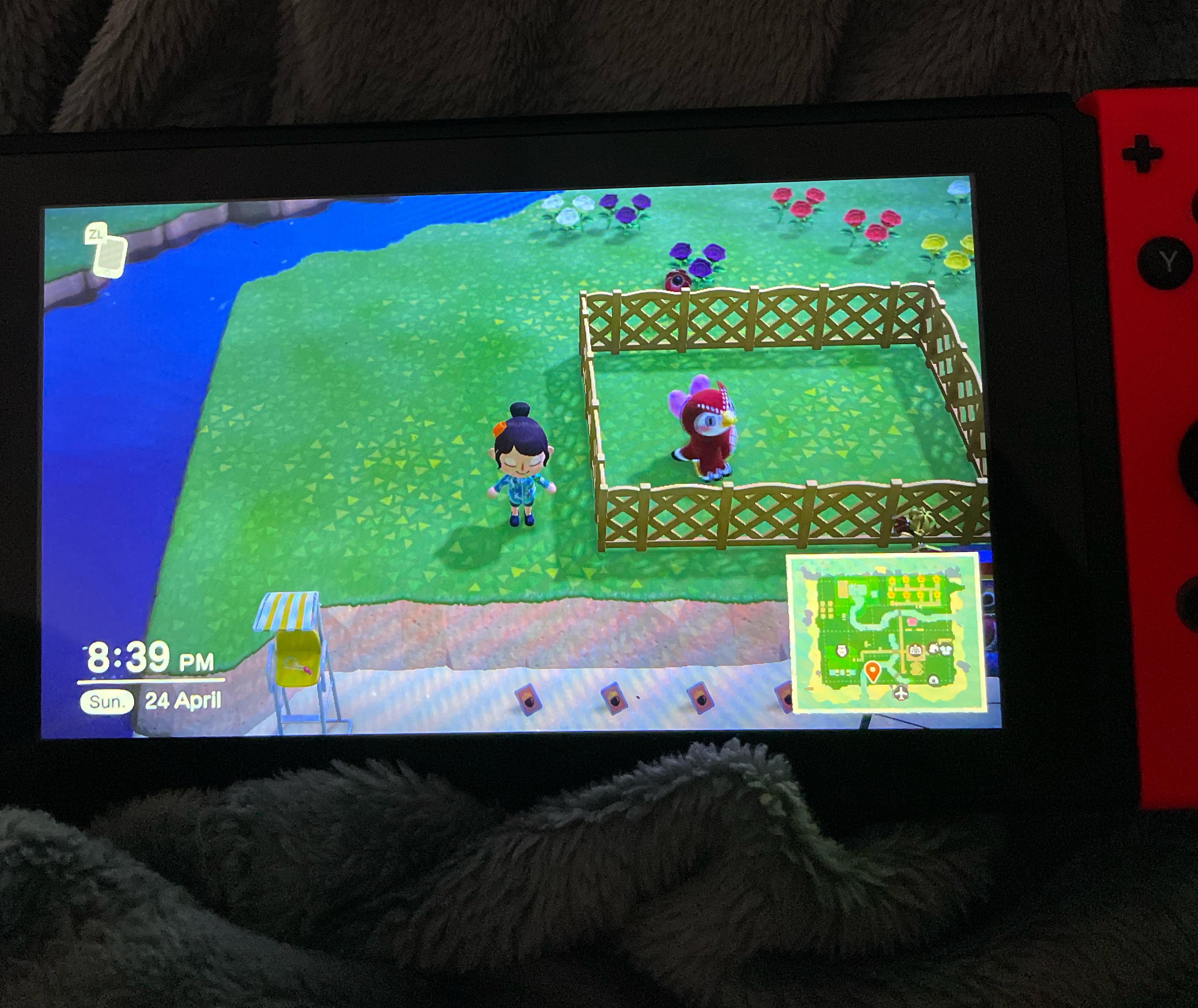 1846 best Dodo Code images on Pholder No Fee AC, Turnip Exchange and