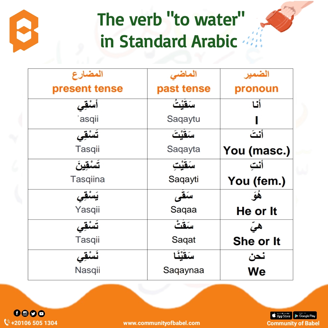 The verb "to watering" in Standard Arabic r/learnarabic