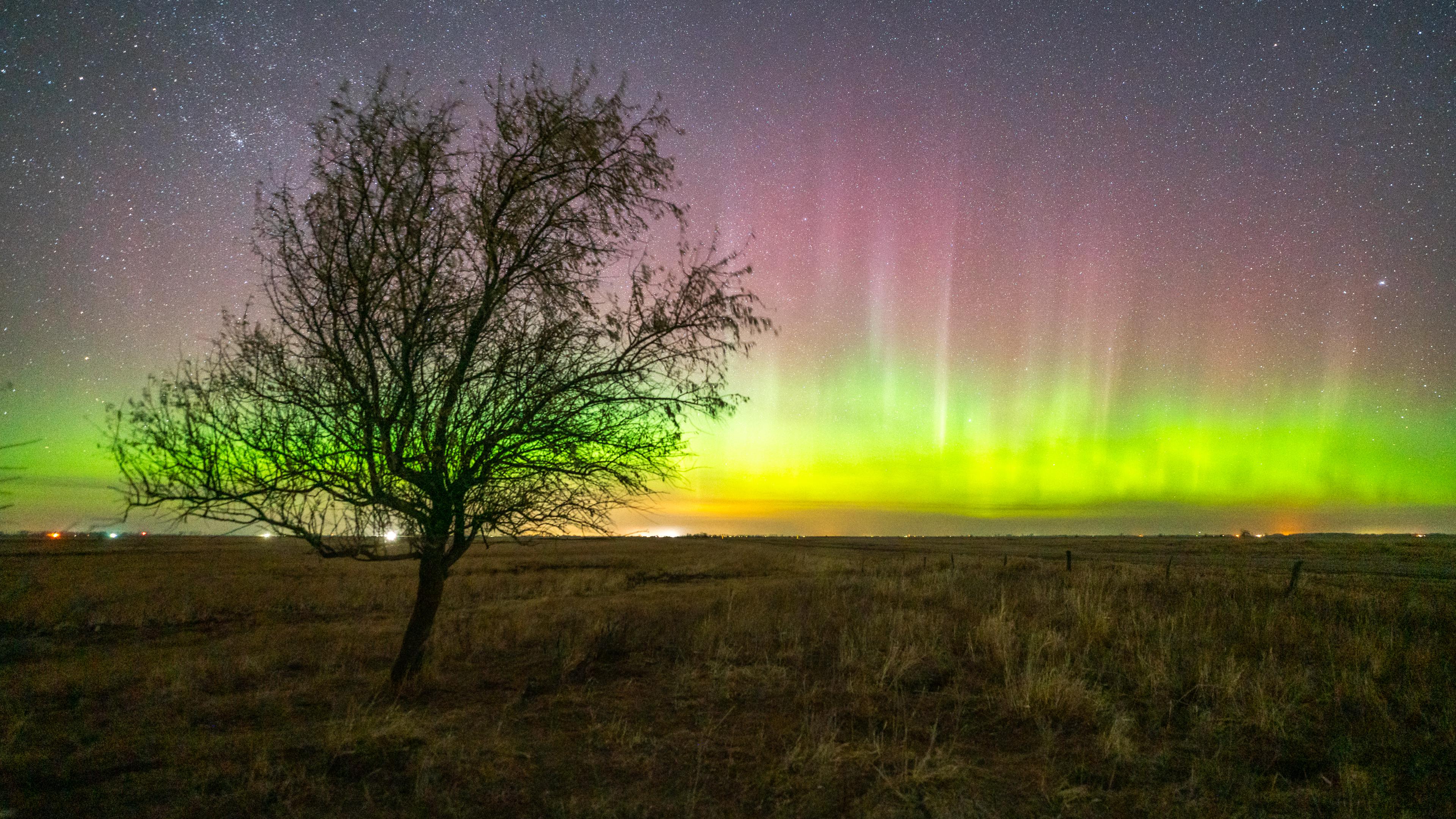 Northern Lights North Dakota 2024 Ines Tallie