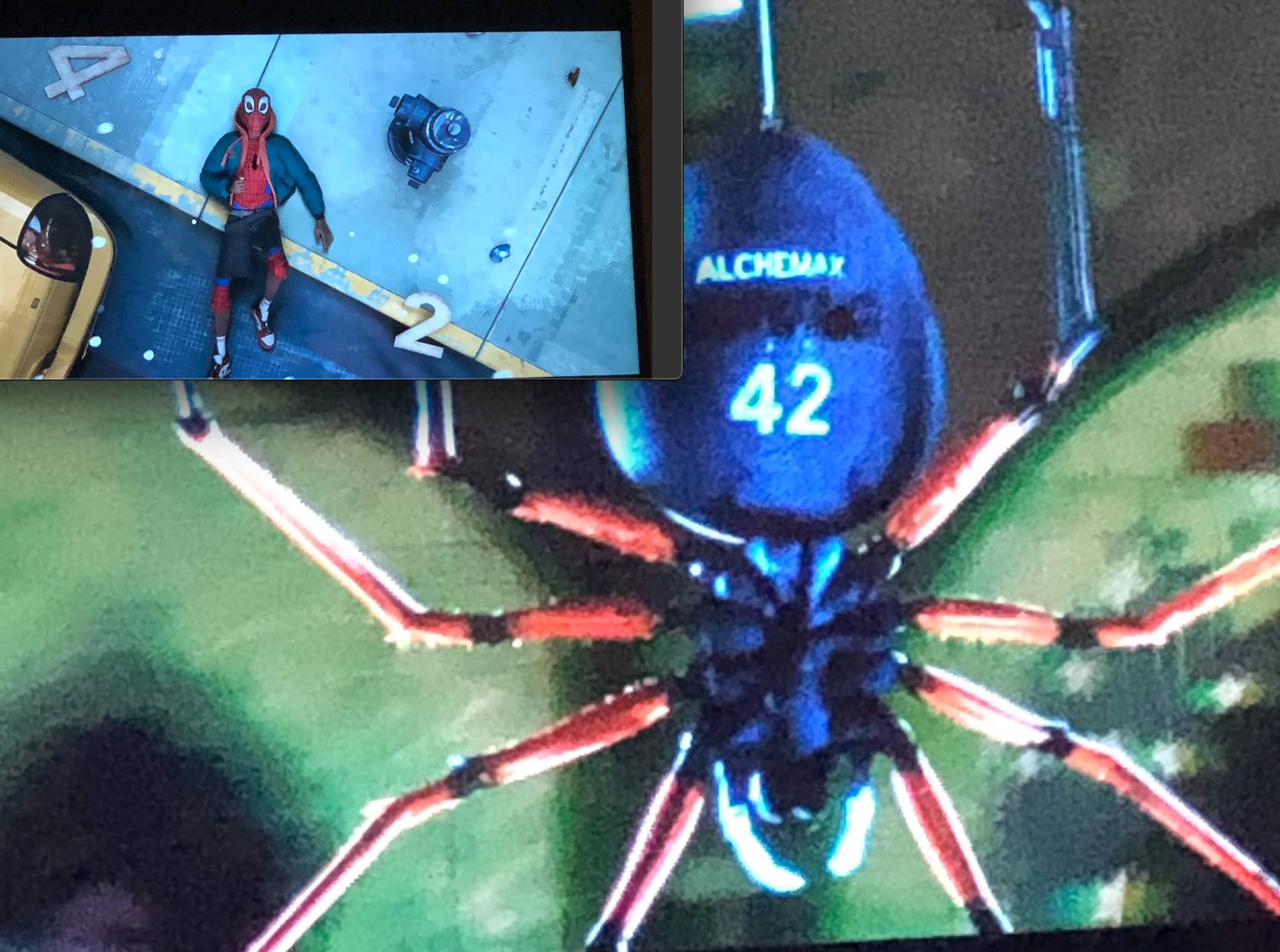 In Spiderman Into the Spiderverse, the spider that bites Miles has