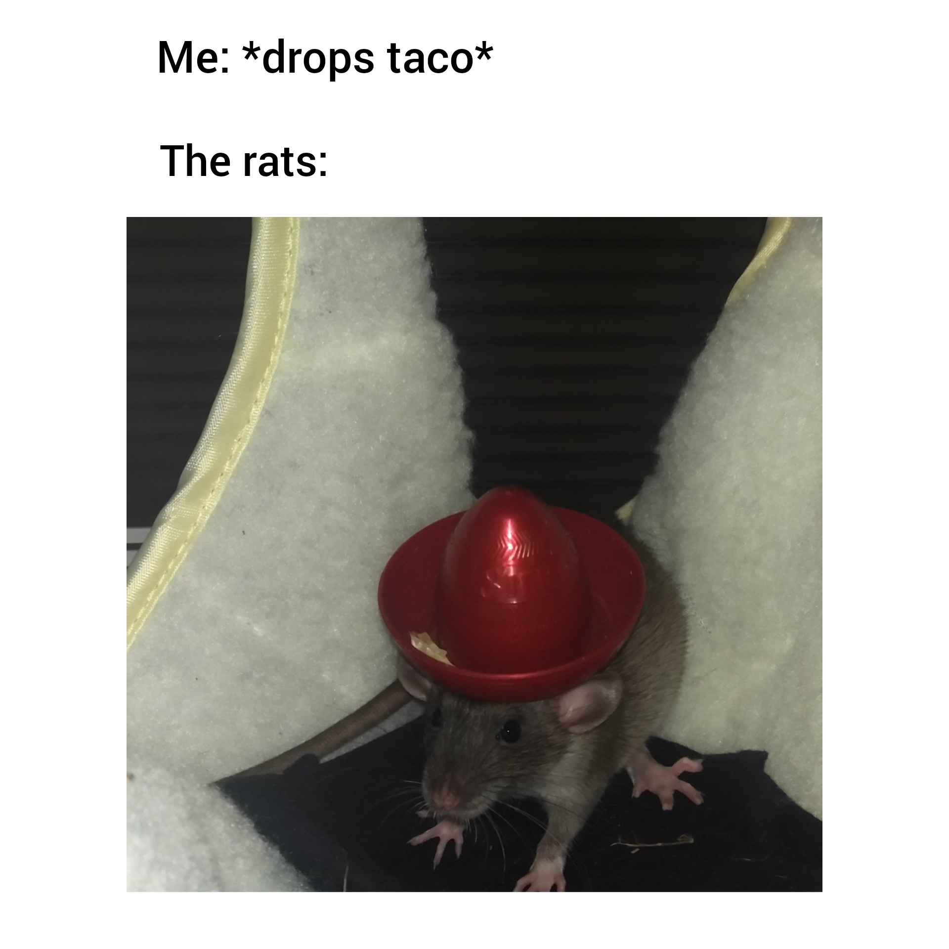 Reddit Dive into anything