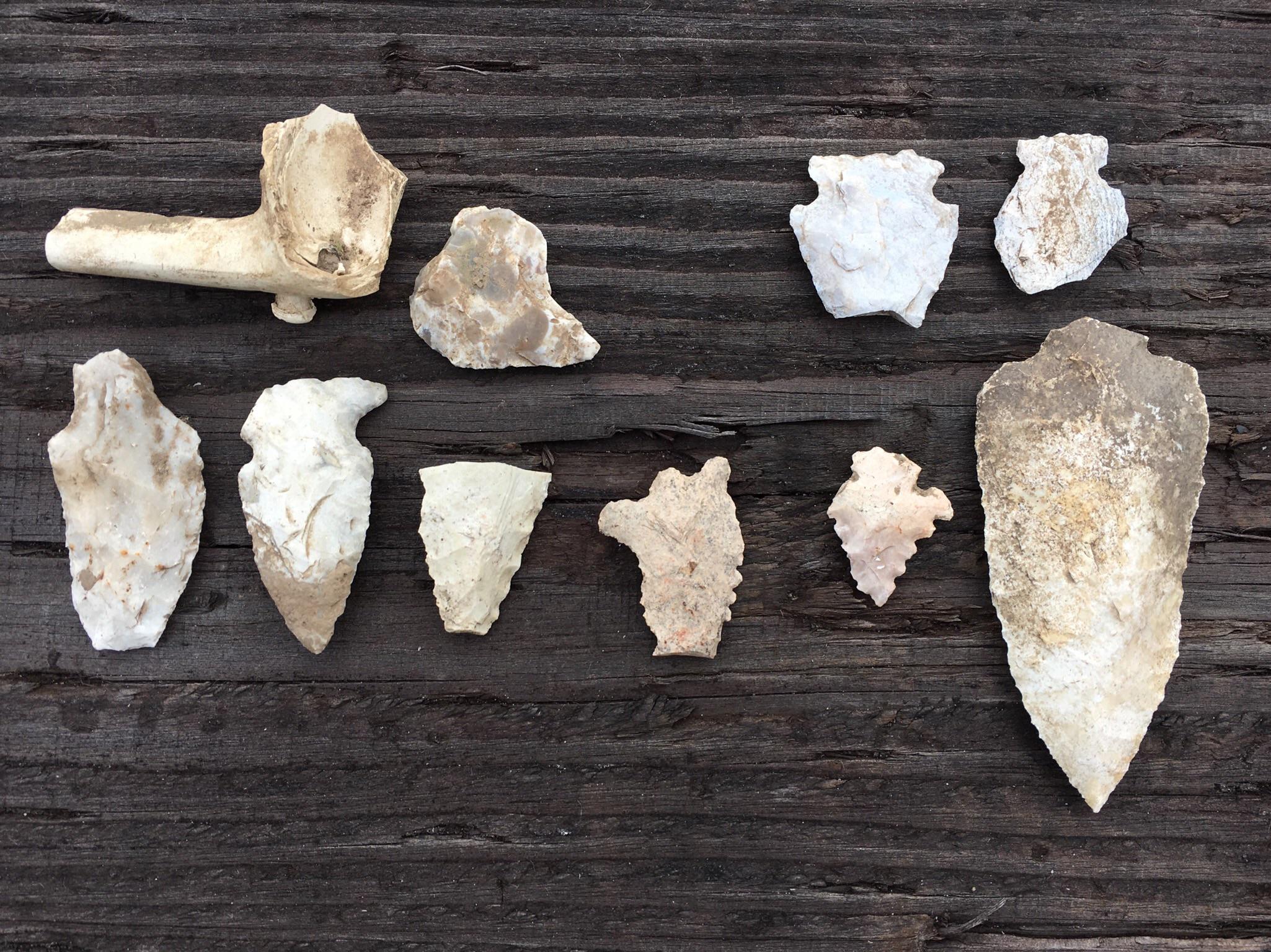 Went out with dad today. The 2nd and 3rd from right, bottom row, are