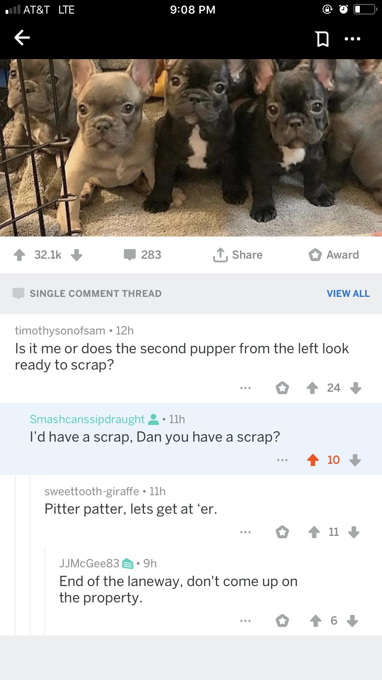 Best Letterkenny Quotes Reddit You Were Using Gail