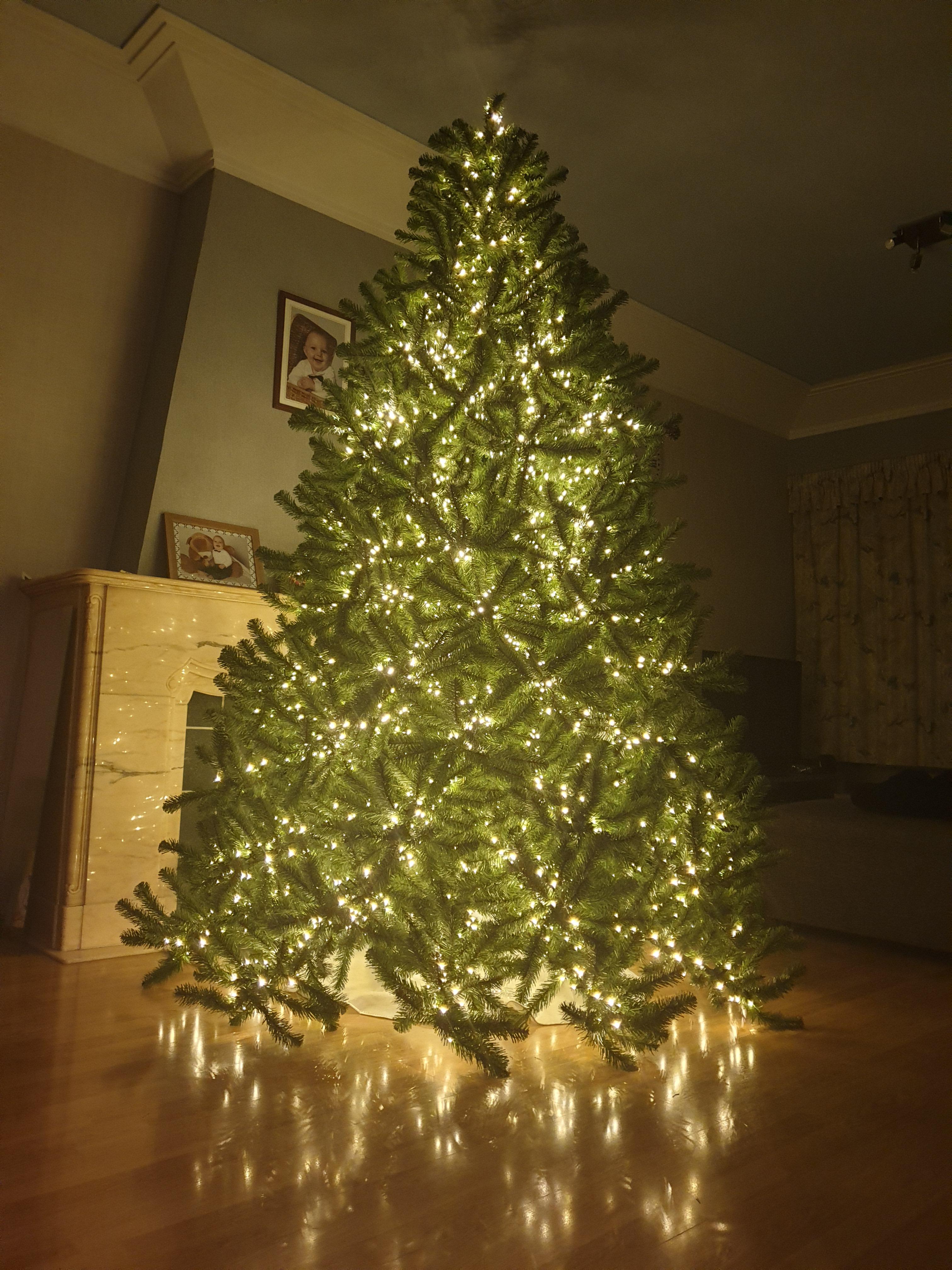 First part of our christmas tree: 3000 lights, about 3,50m high : r