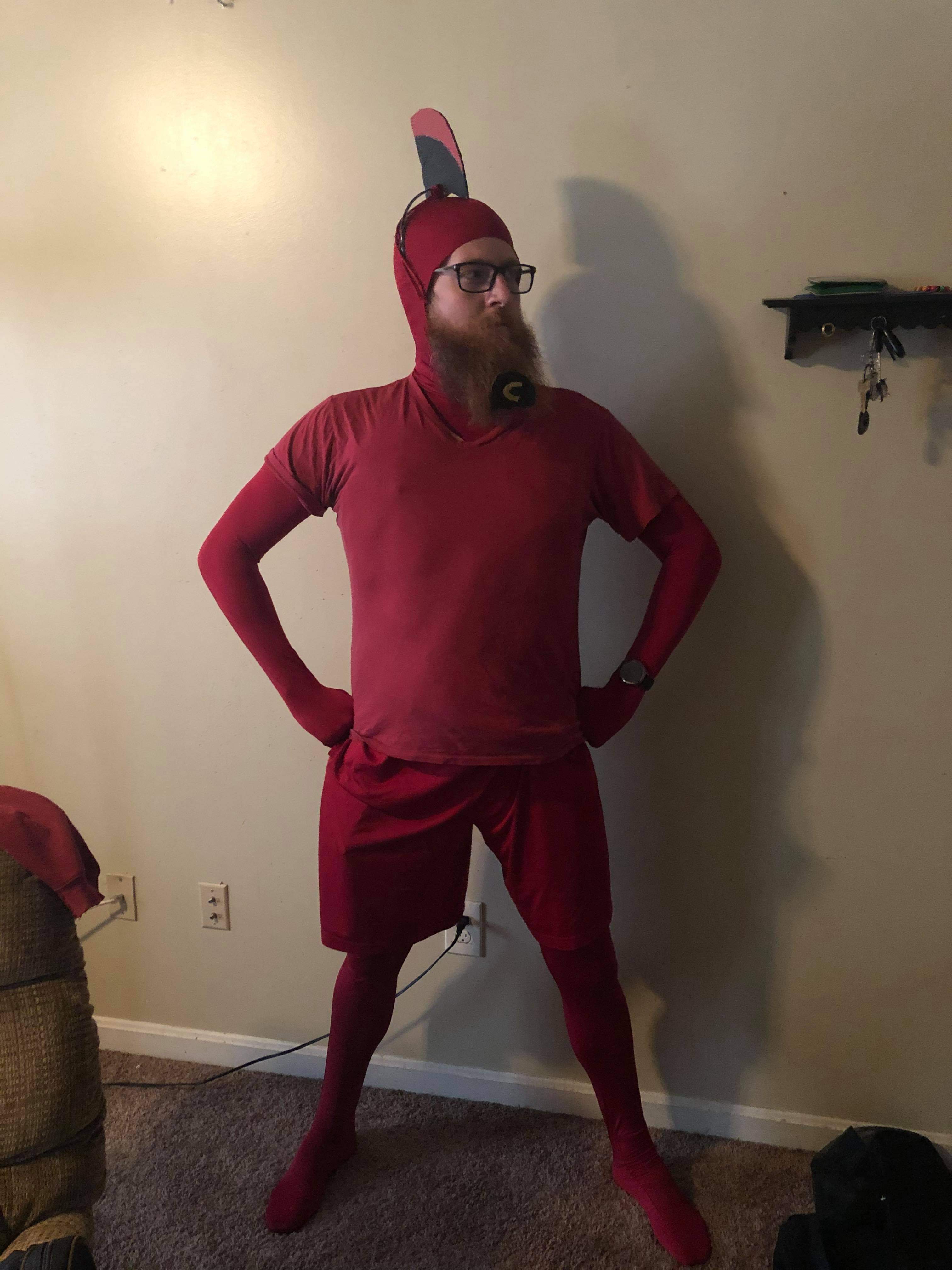 This year for Halloween, I'm the Crimson Chin from the Fairly Odd Parents. Luckily, my beard is