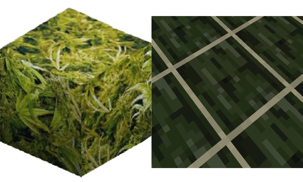 The new dried kelp block looks like cannabis! r/Minecraft