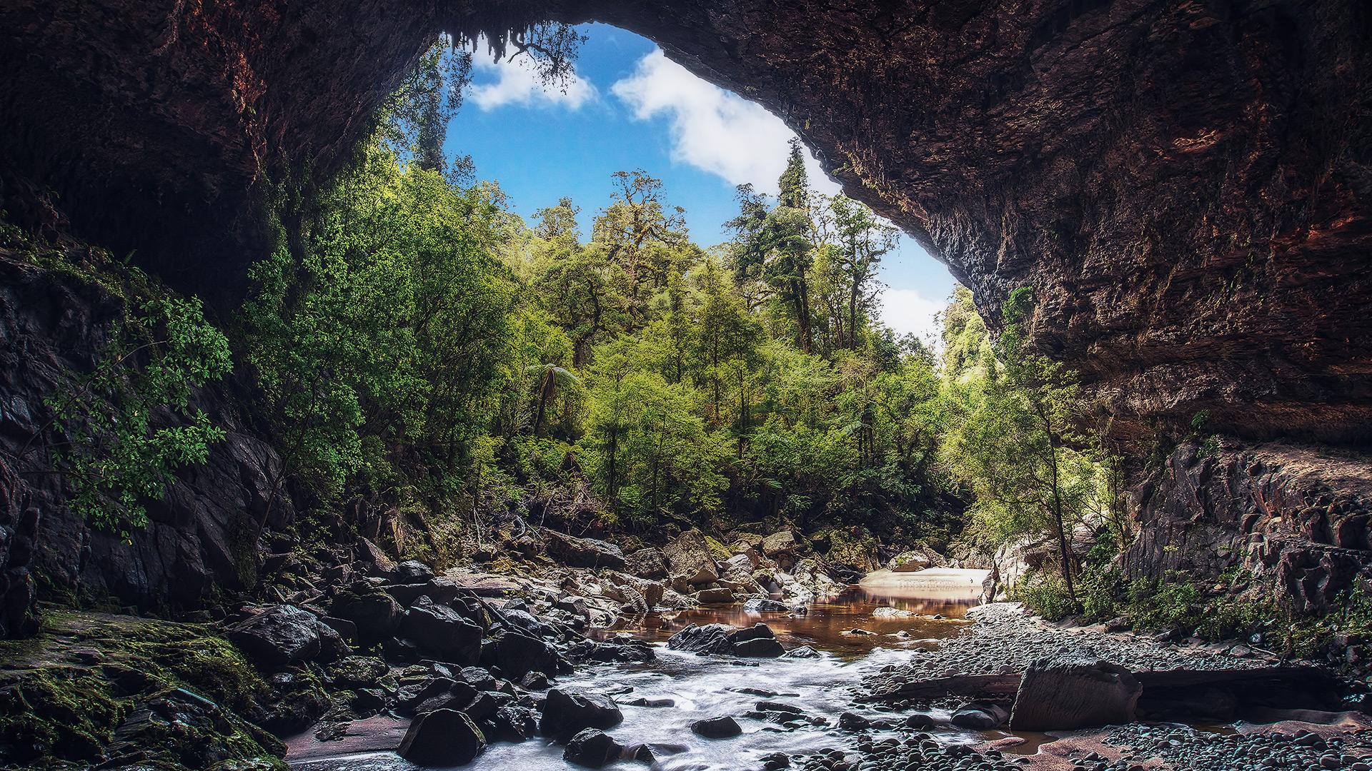 I couldn't believe my eyes when I found a series of giant natural