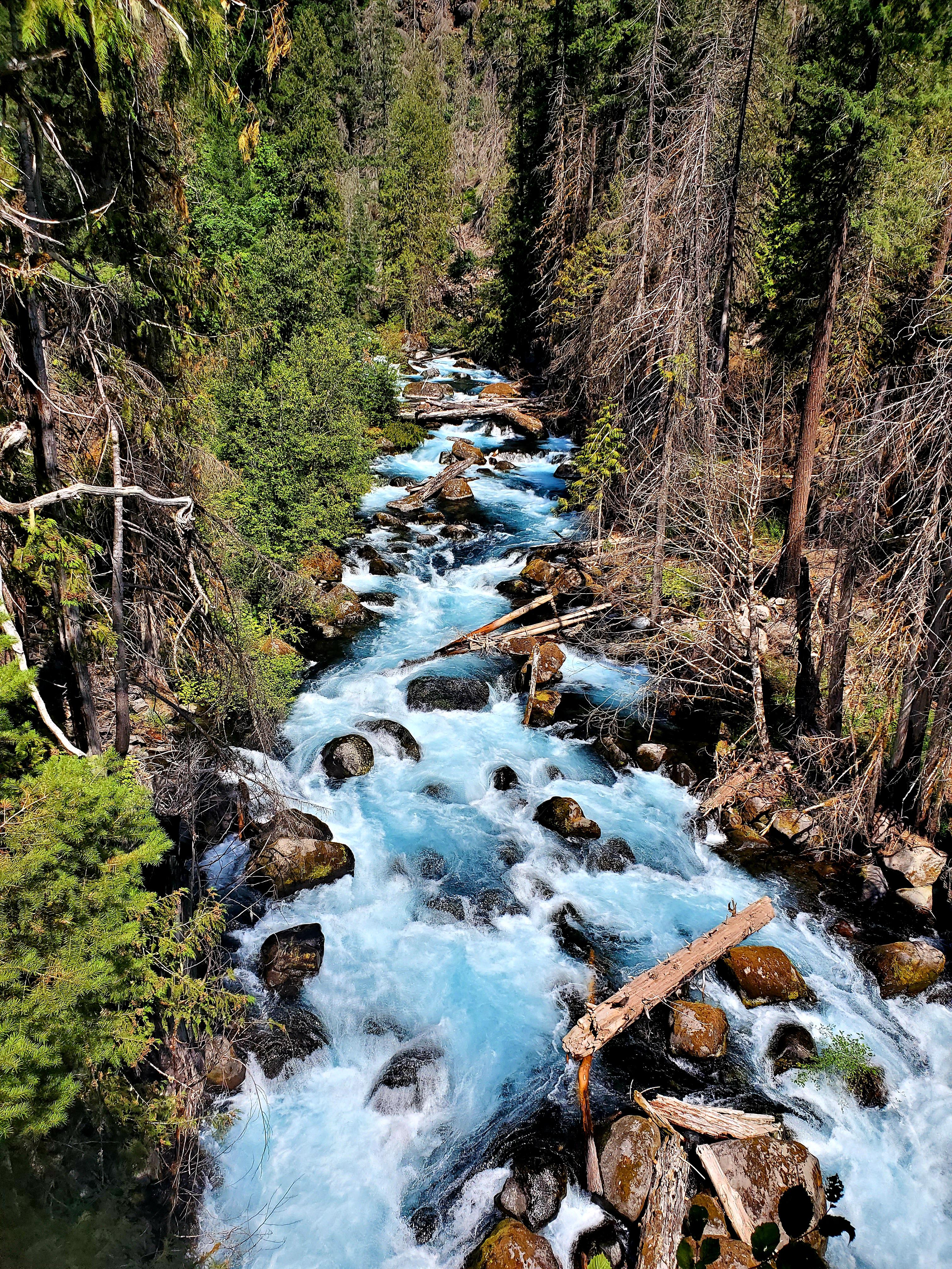 Blue River, hiking up to the famous Blue Pool in Oregon [OC] [3024×4032