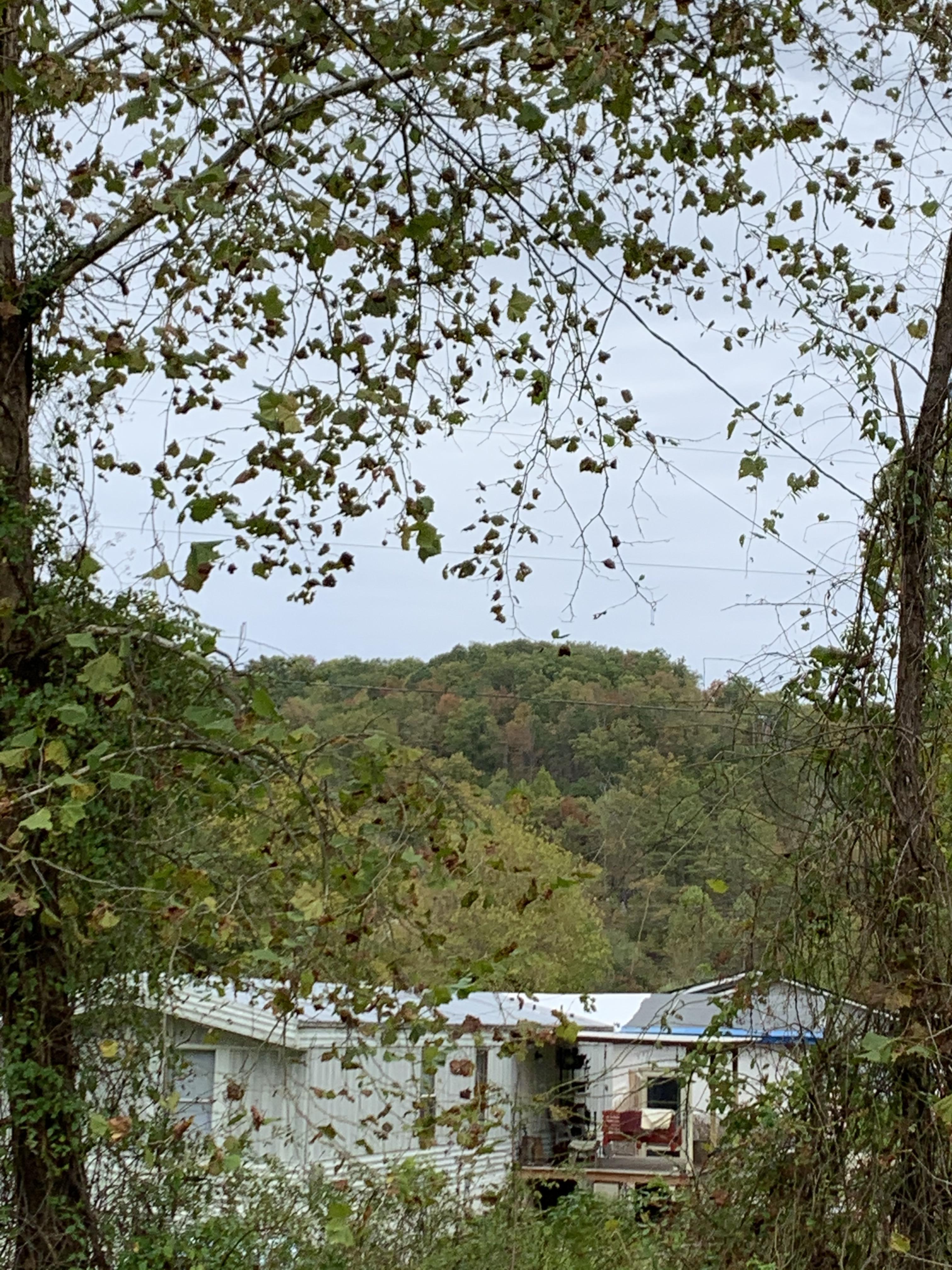 The View of the hills Here in my home of Magoffin County Kentucky r