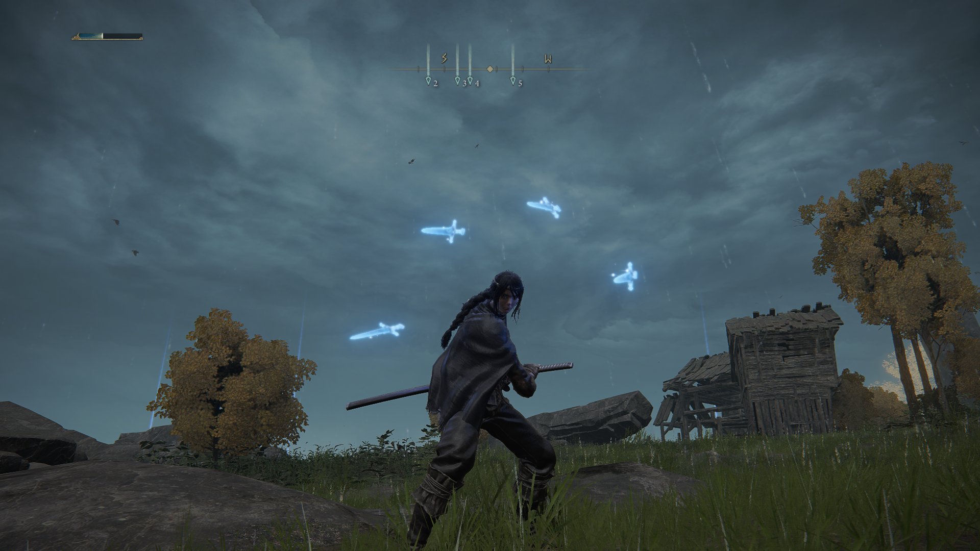 Been playing Elden Ring when suddently a storm approached r/DevilMayCry