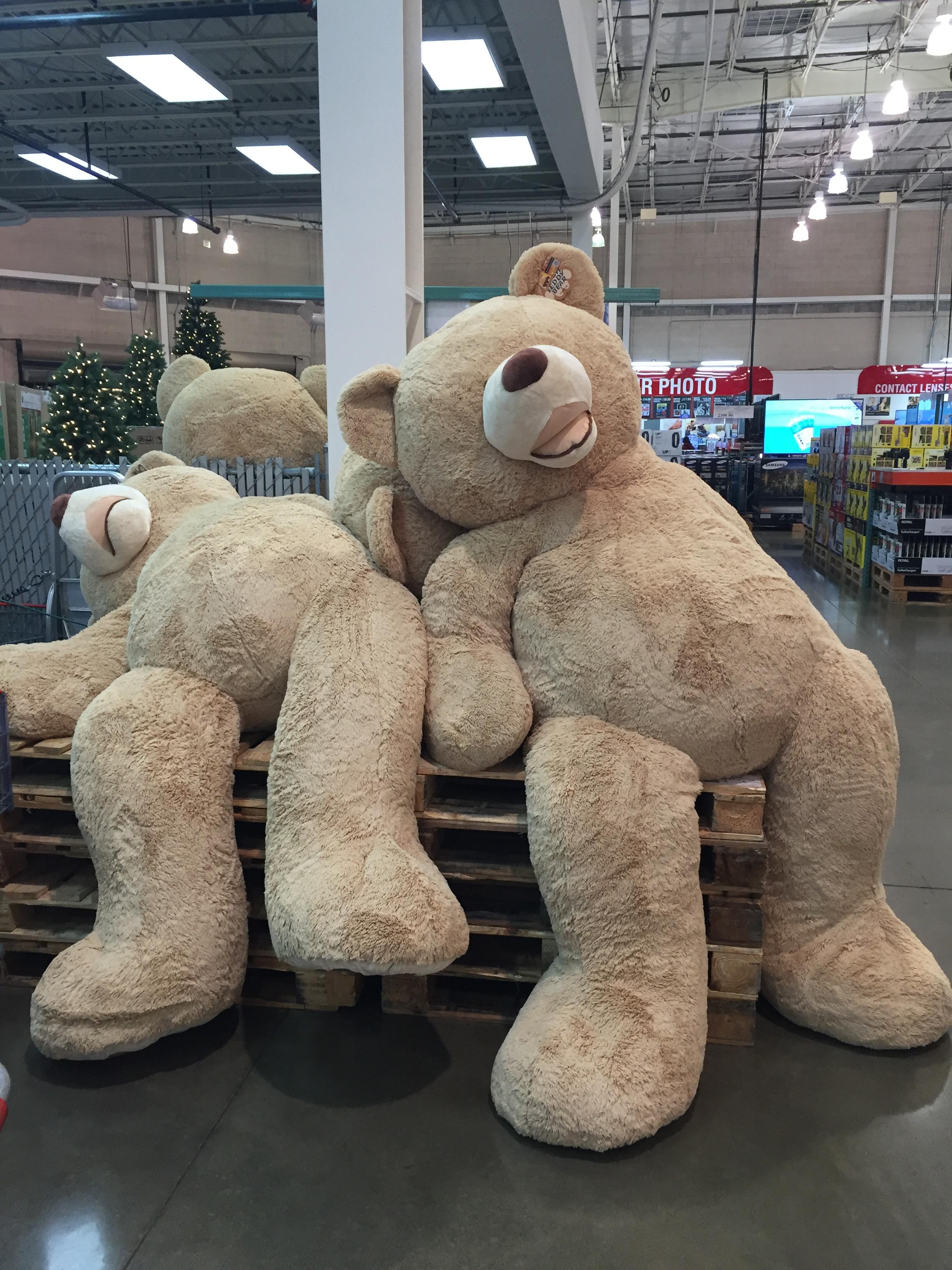 PsBattle two giant Teddy Bears at Costco