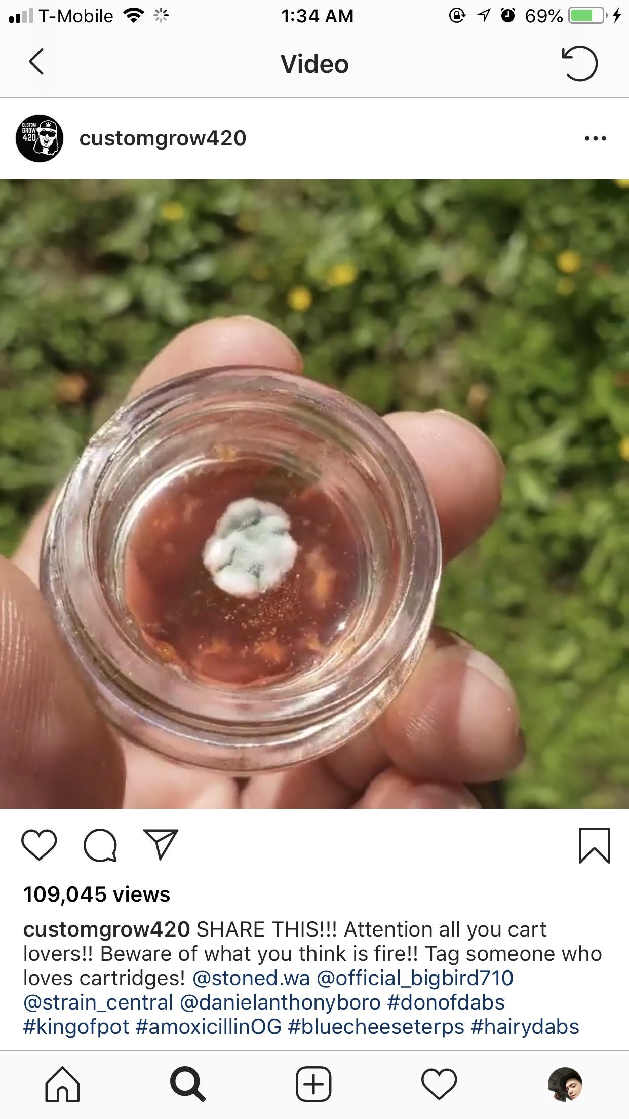 Mold growing on concentrate from a wax cart. What do you guys think