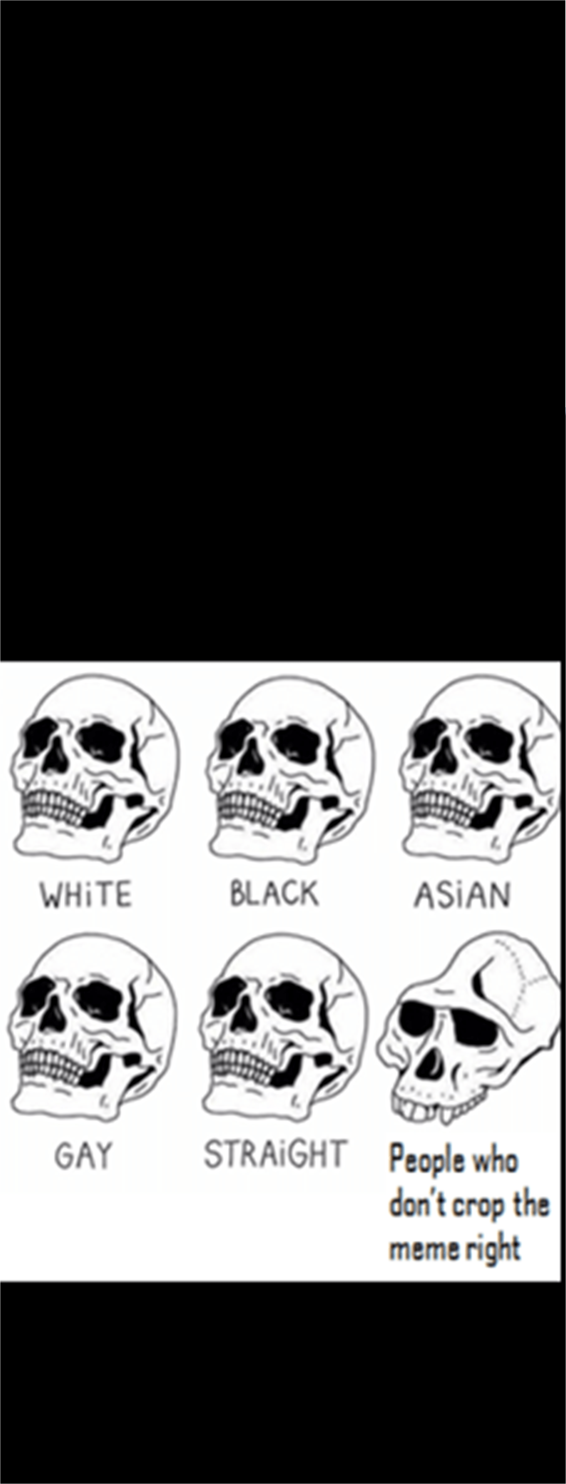 It's not that hard to crop a meme Irony