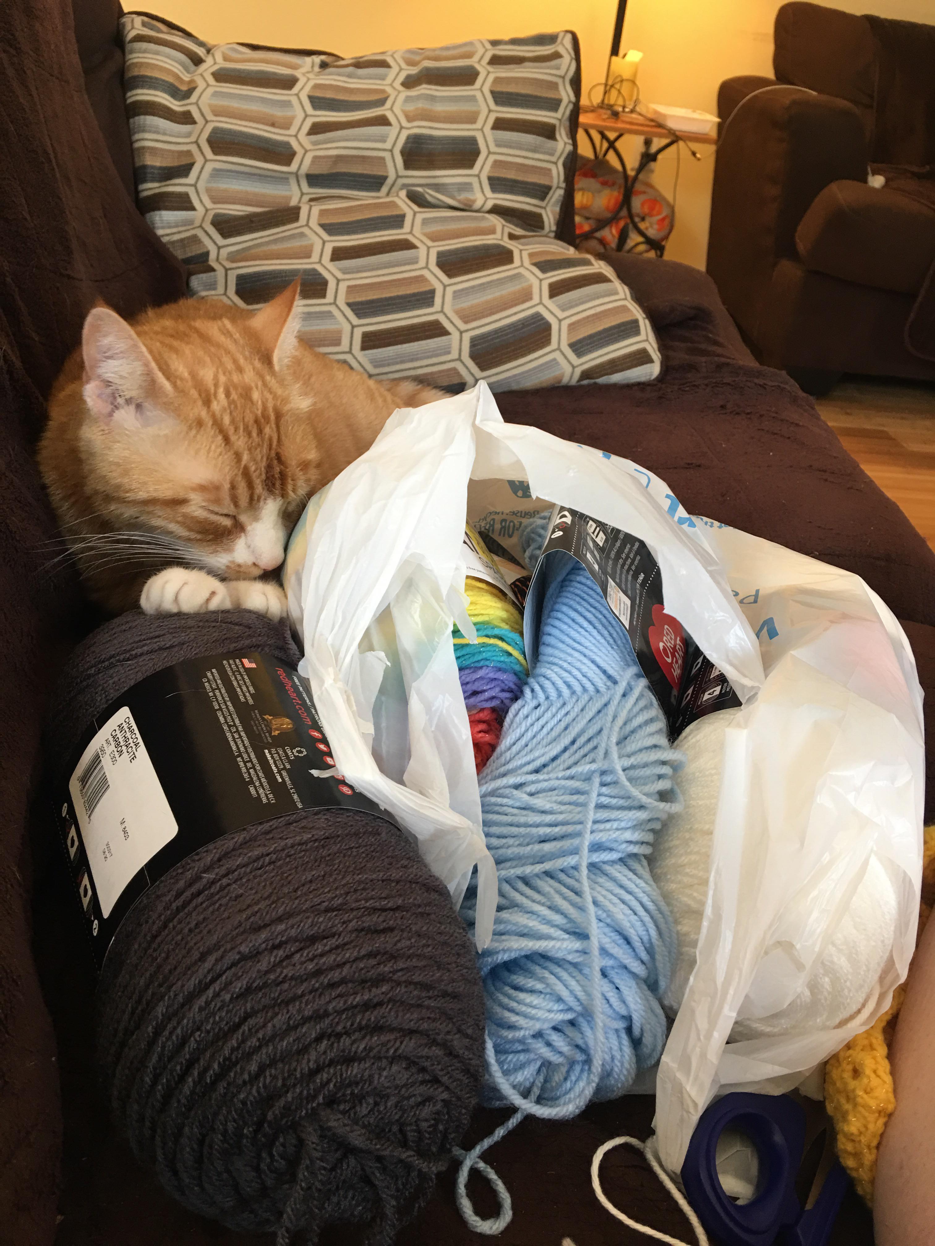 Full skeins of yarn are perfect for cat naps r/crochet