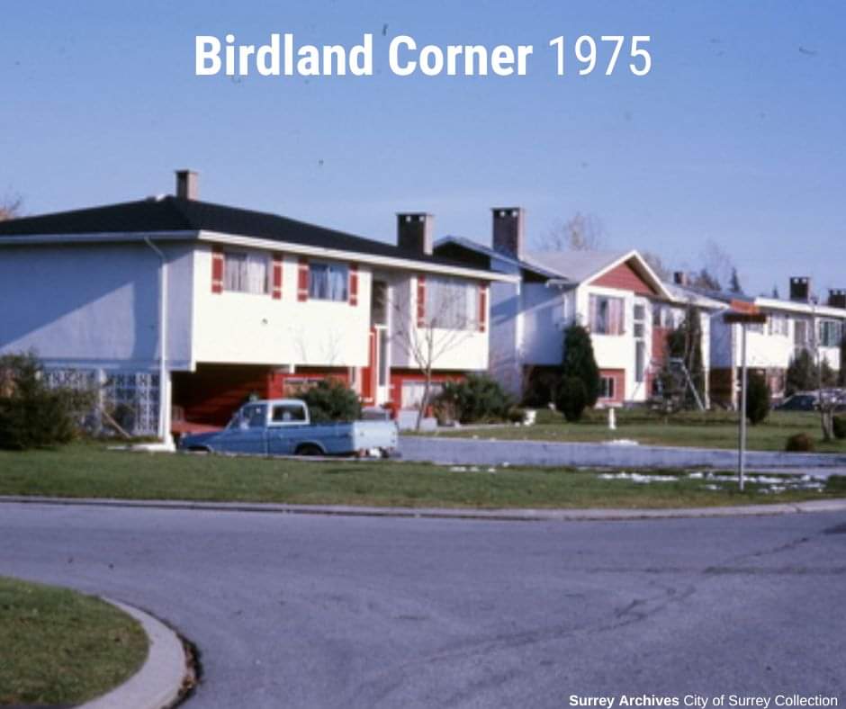 Birdland r/SurreyBC