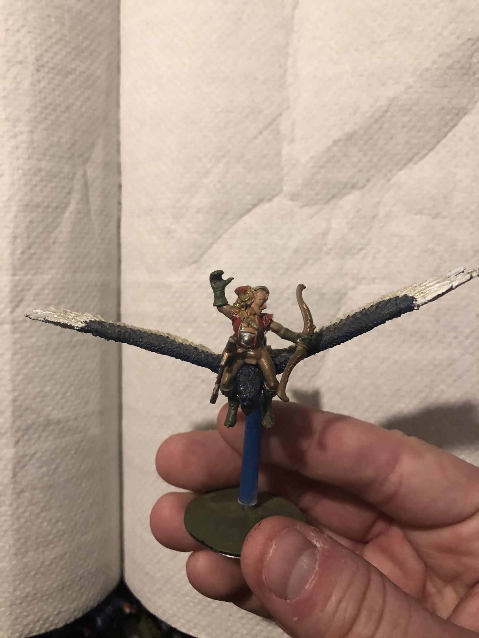 Is this a wood elf Eagle rider or Hawk rider? Thank you ) r/Warhammer