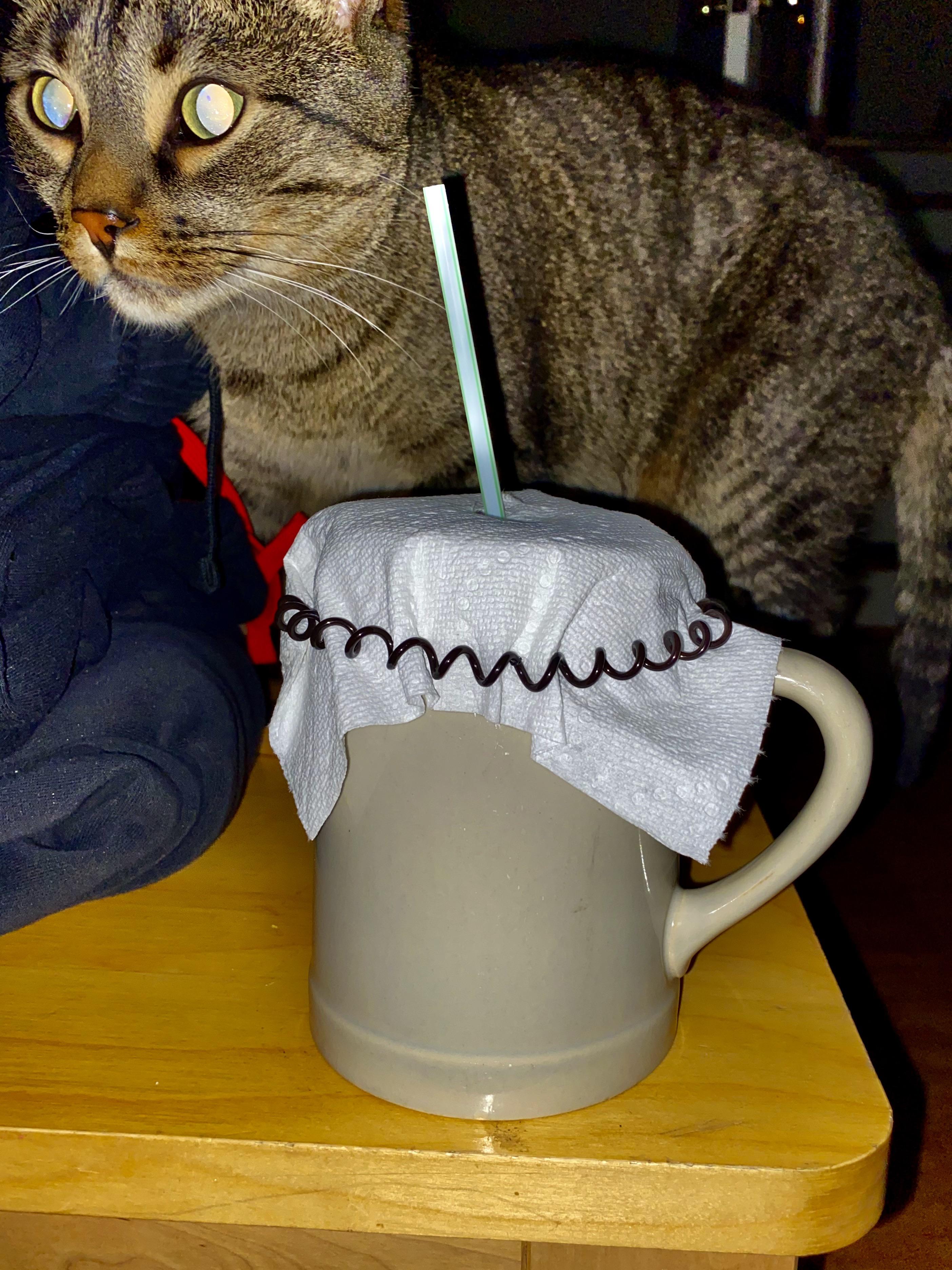 Cat always drinks my water at night so my daughter made a
