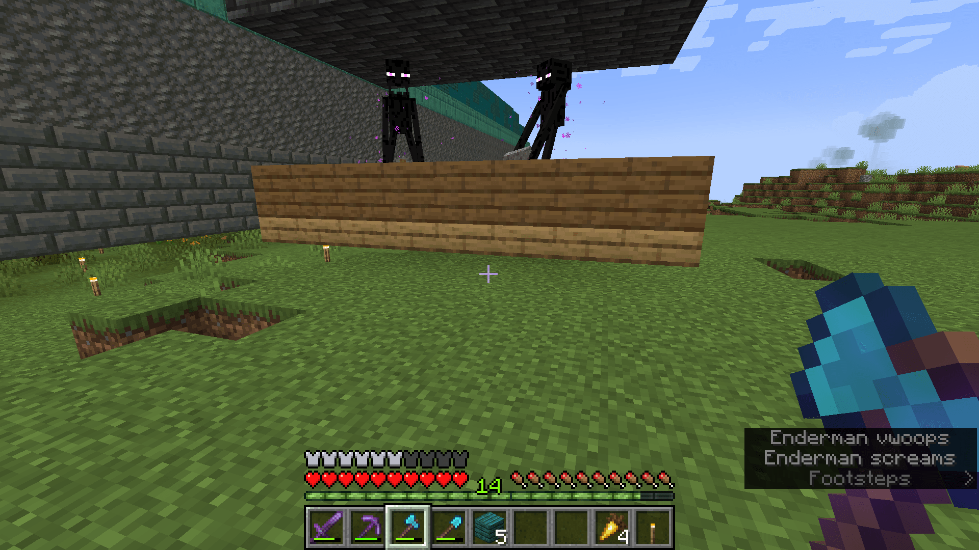 I have 2 pet endermen and I accidently looked at one. Is there any way