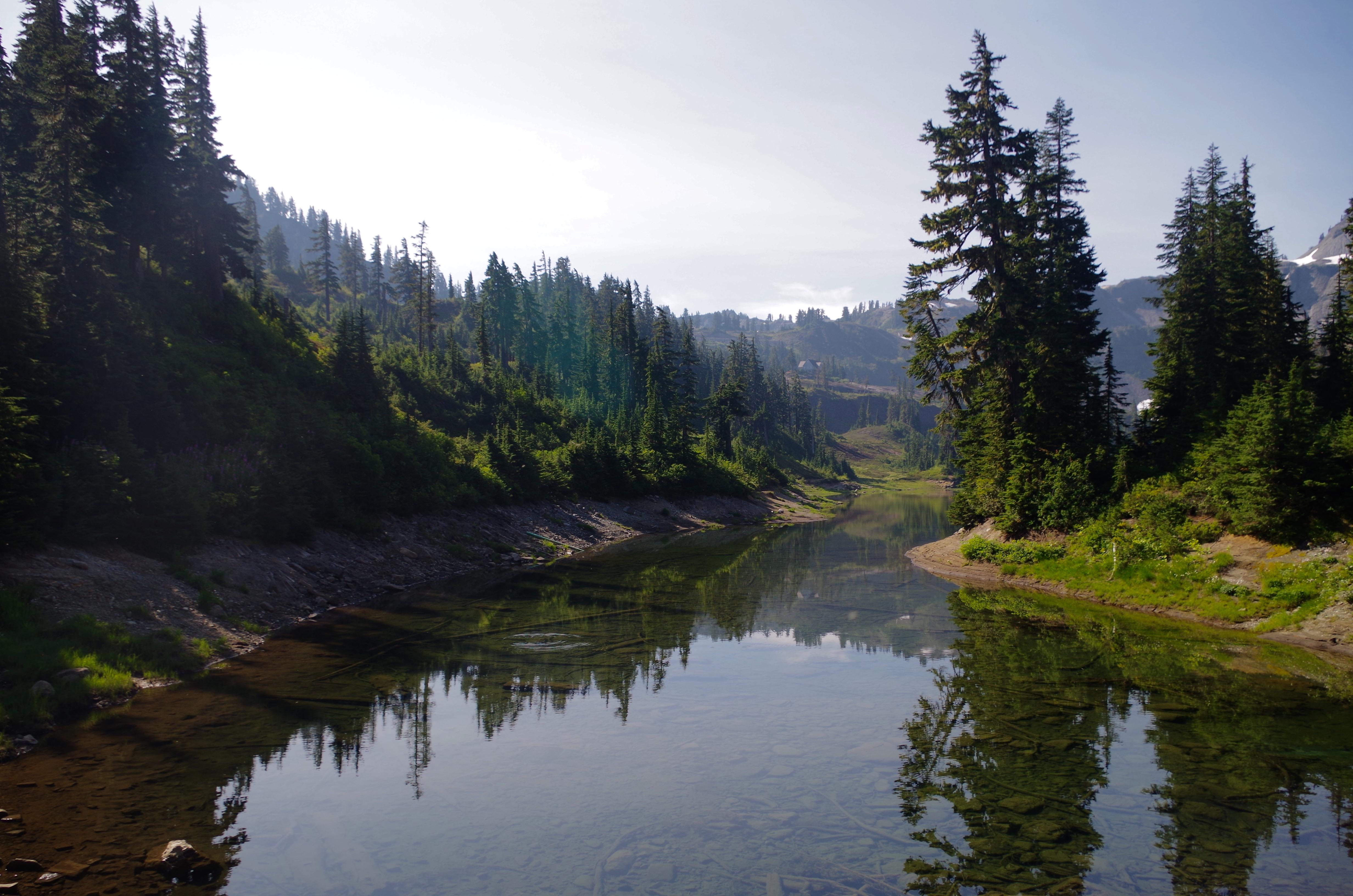 Yesterday at Bagley Lakes trail near Mount Baker in WA, USA (4928 ×