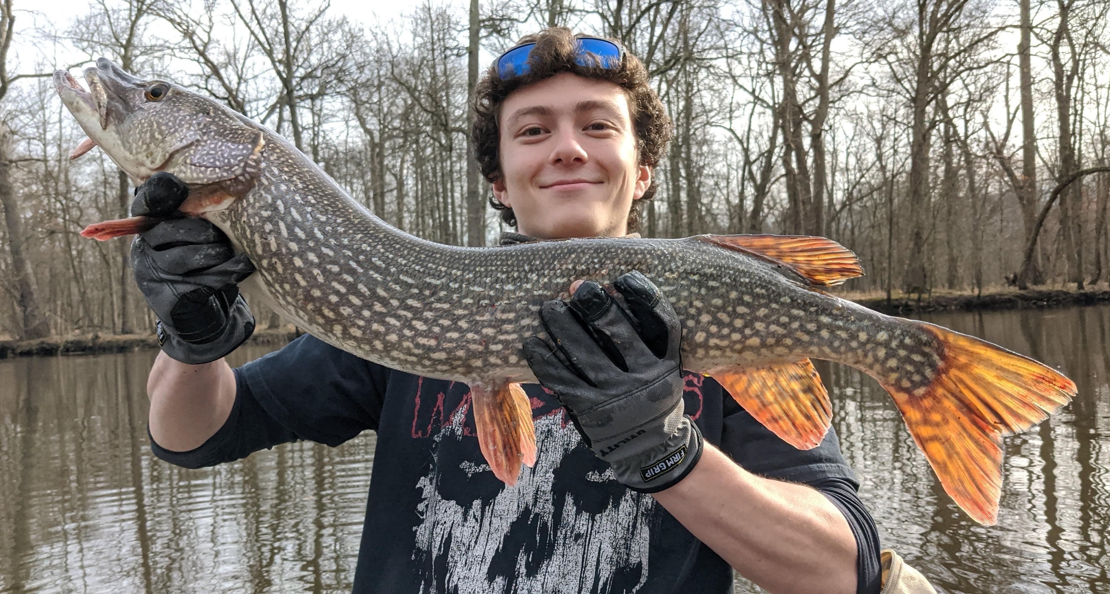 Personal Best Northern Pike r/Fishing