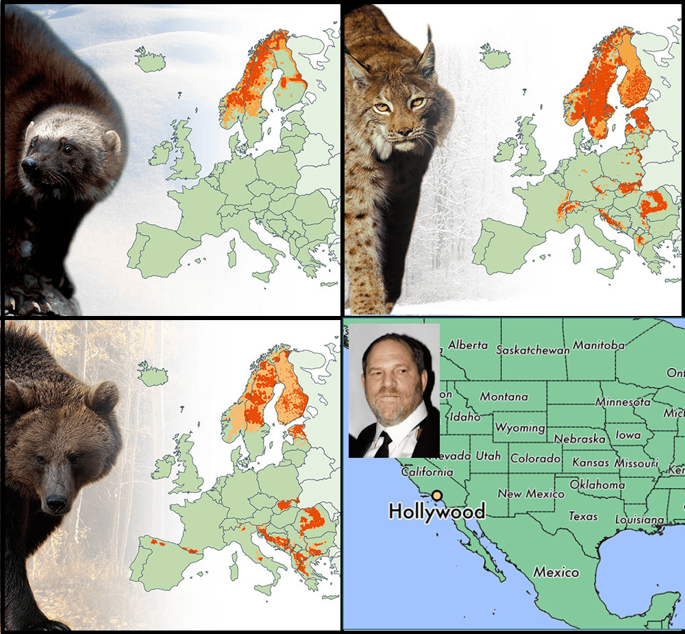 Large Predators of Europe and America r/dankmemes