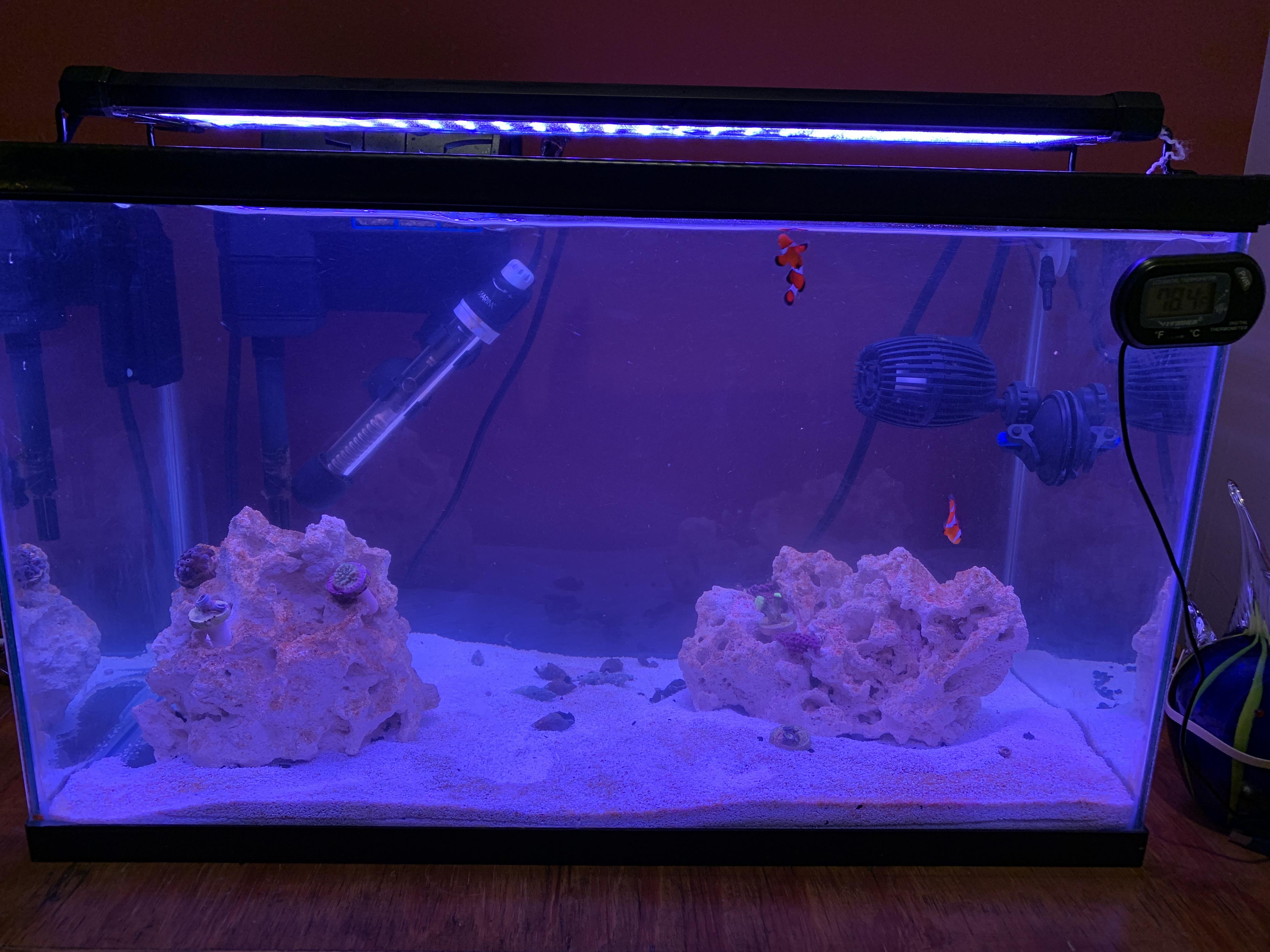 10 gallon nano reef r/ReefTank
