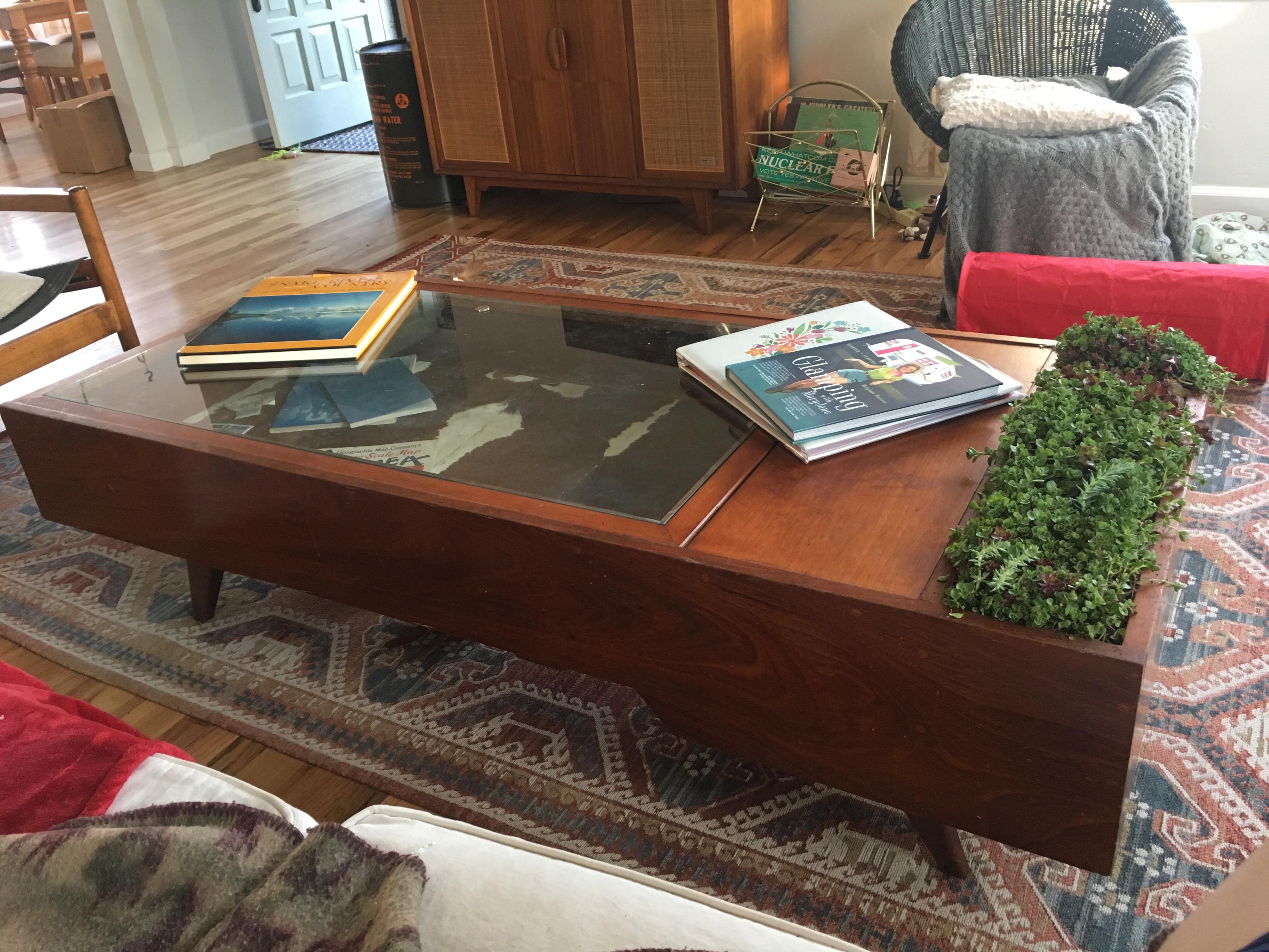 Finally planted something in the table! It's very weird to purposely