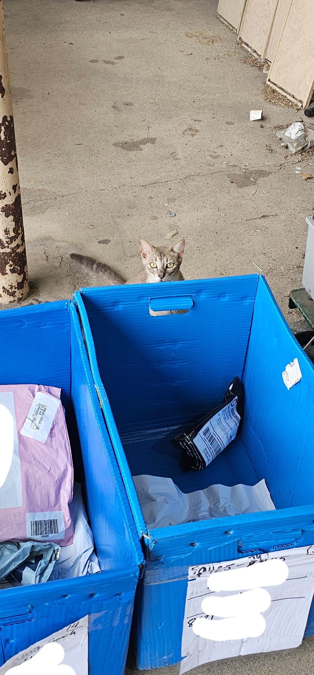 The Post Master doesn't look pleased. r/USPS