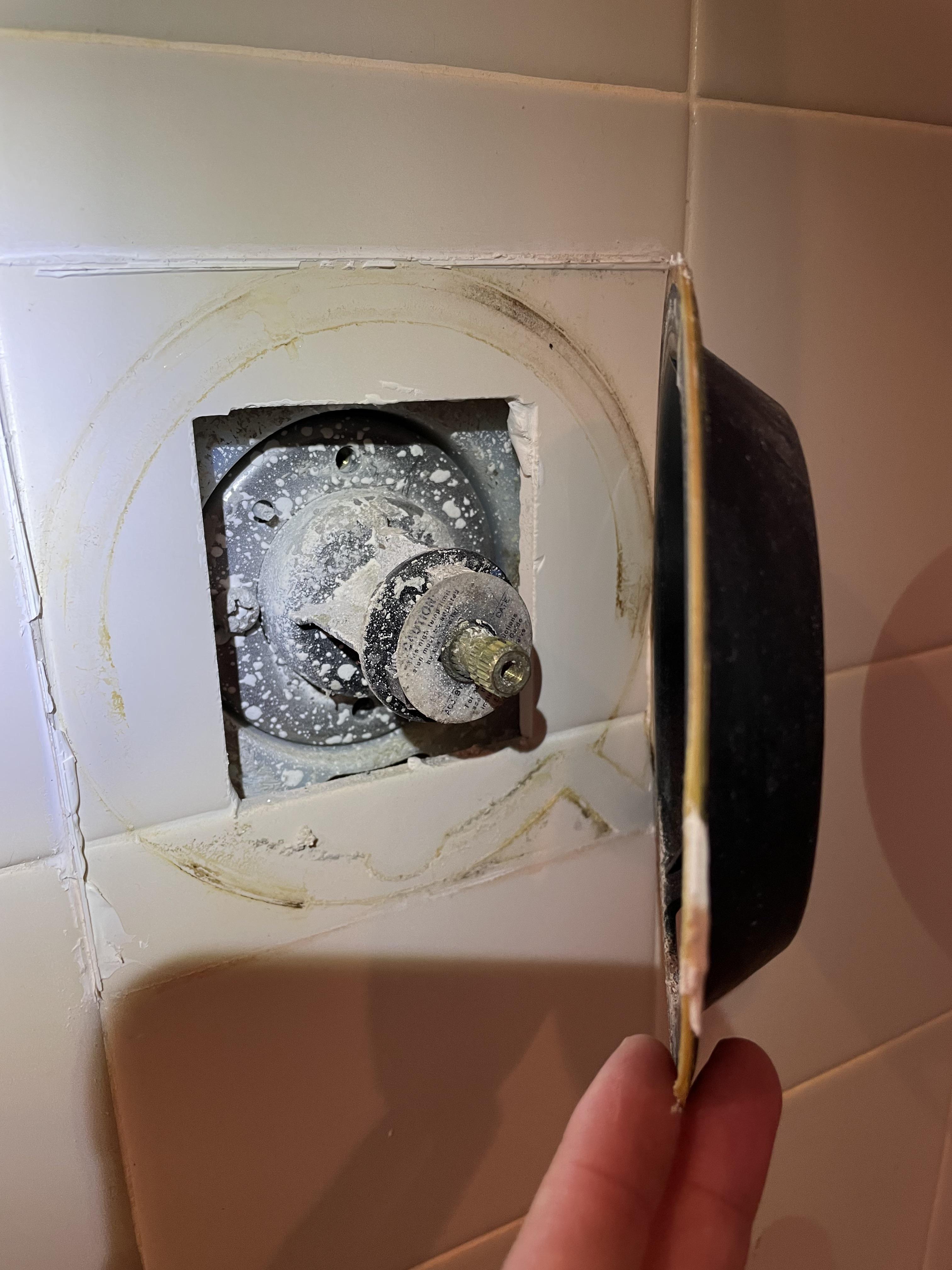 Noticed some dripping from the shower head and opened up the trim. I