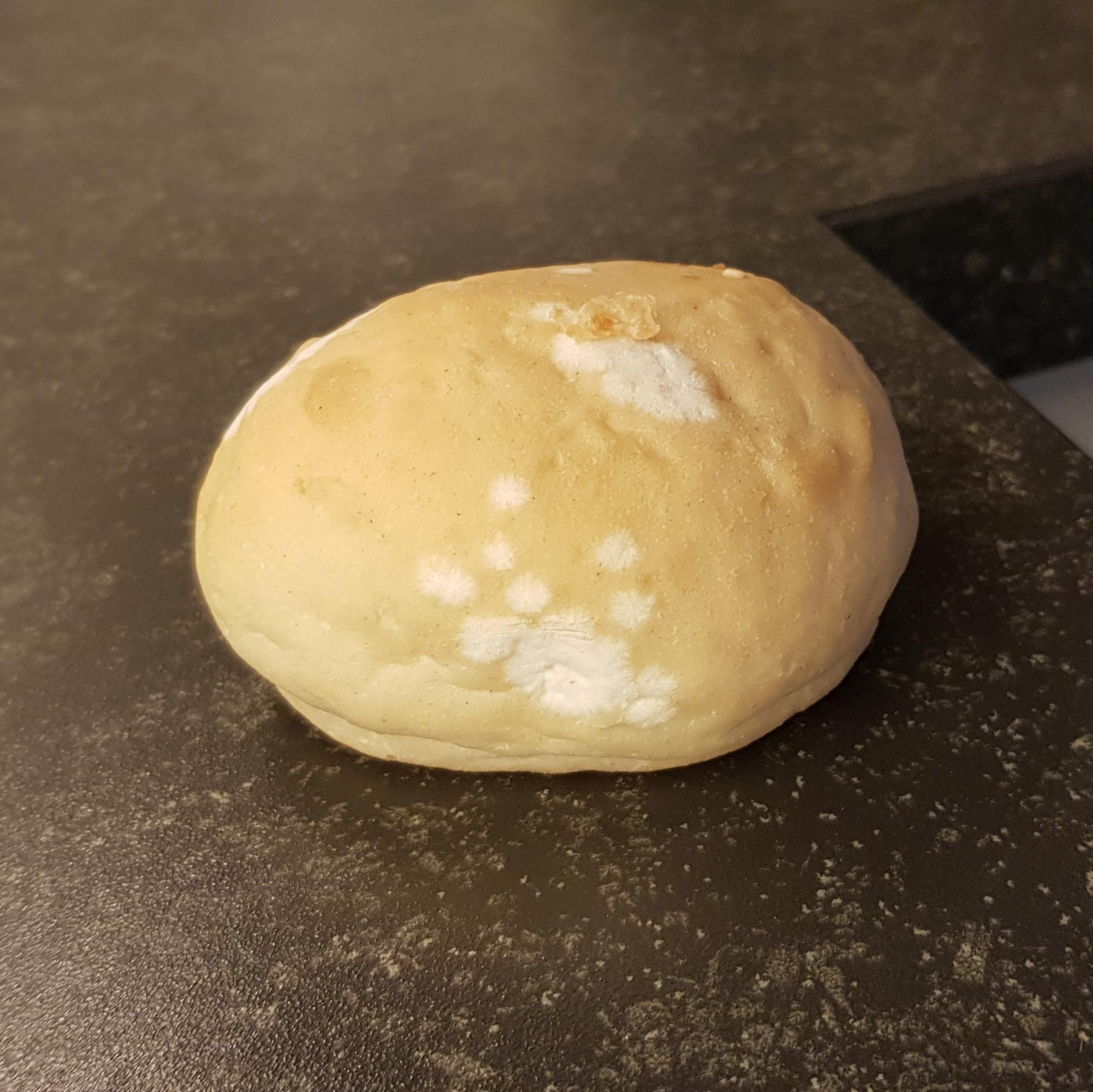 From a package of vacuumsealed buns to be baked at home, is this mold