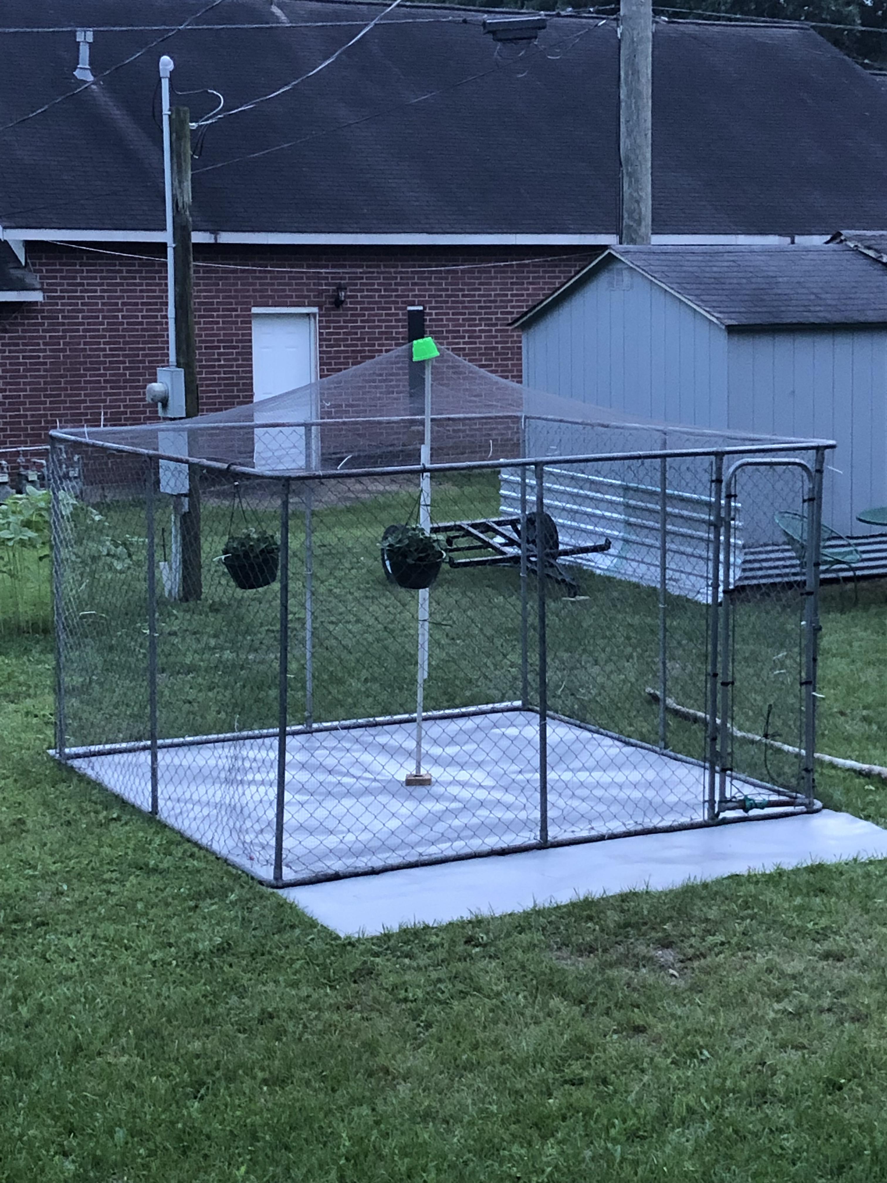 Is Pea Gravel Good For Dog Kennels