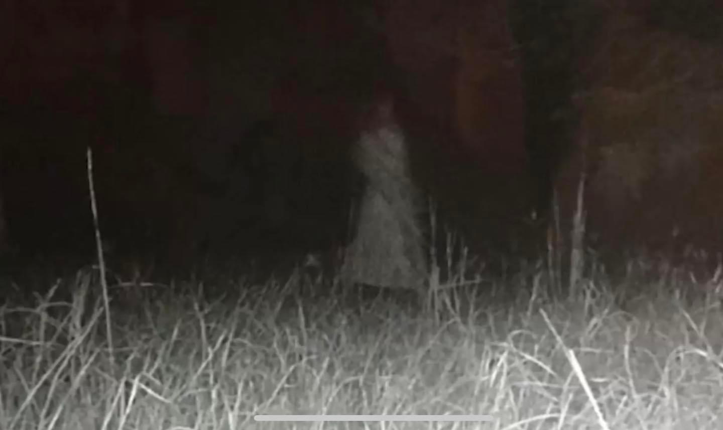 Taken on private land on a wildlife camera in La Junta CO this figure passing is what caused it