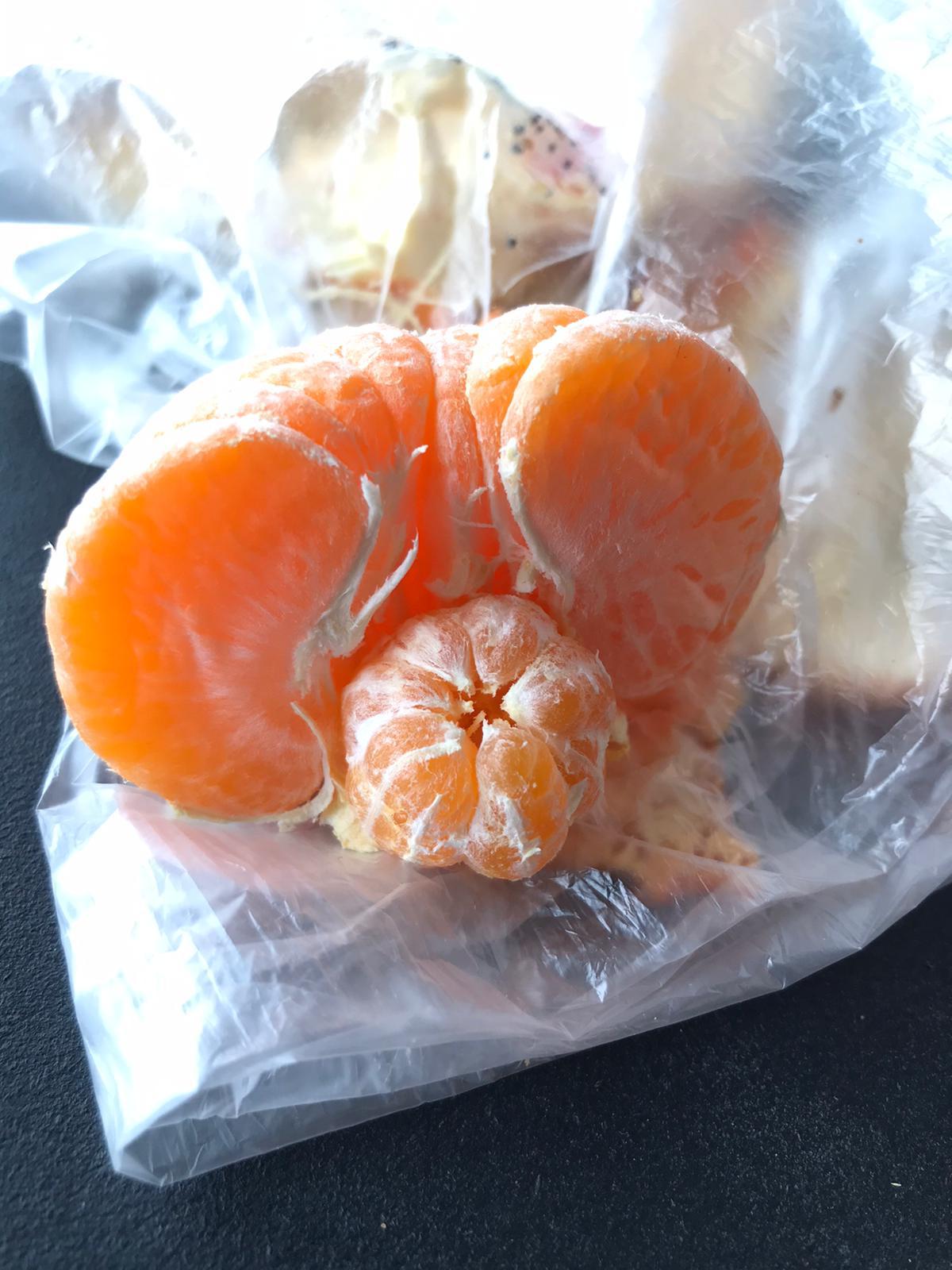 My Dad’s satsuma was pregnant r/mildlyinteresting