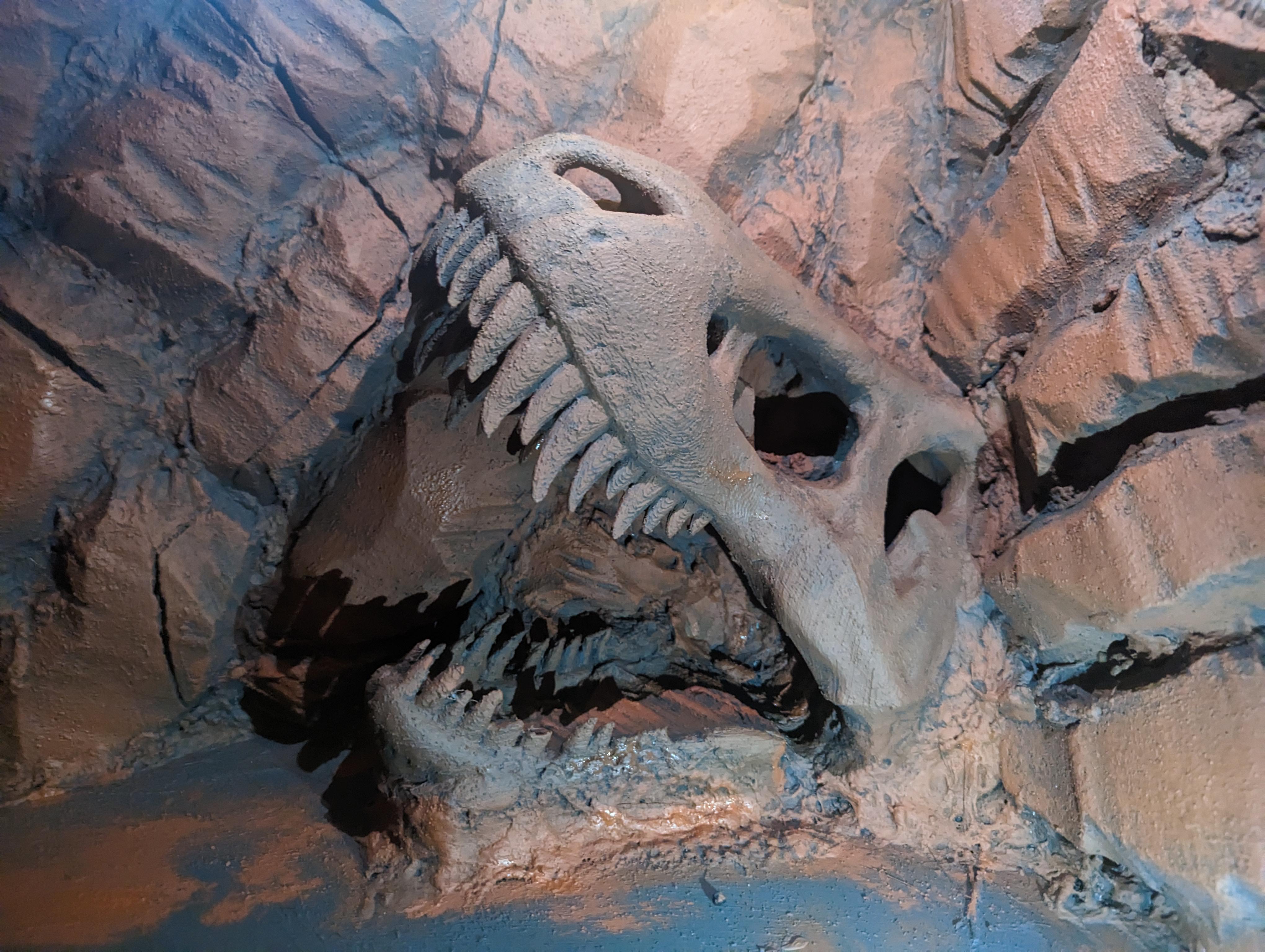 Finished painted Trex skull. Follow up to a previous post. r/3Dprinting