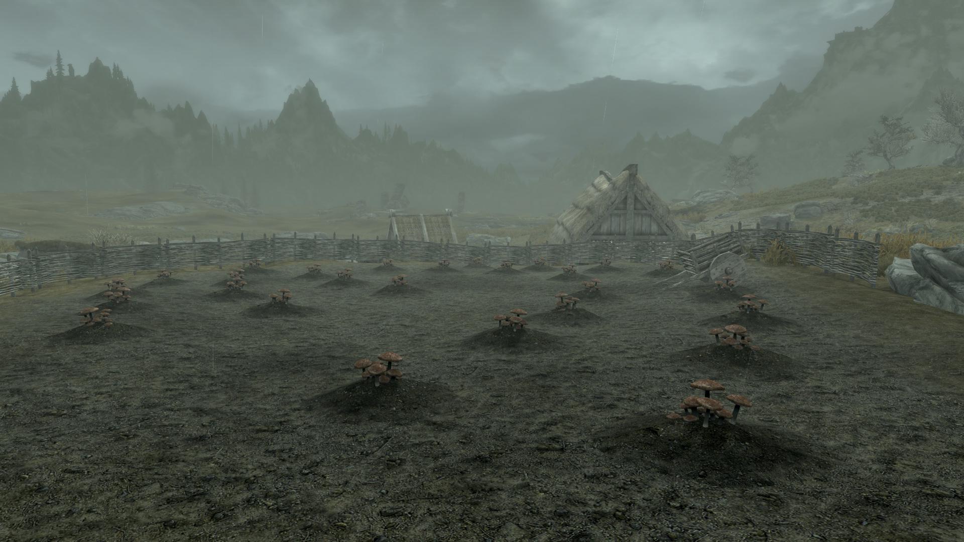 What are some good things to plant? For now I'm doing just Blisterwort