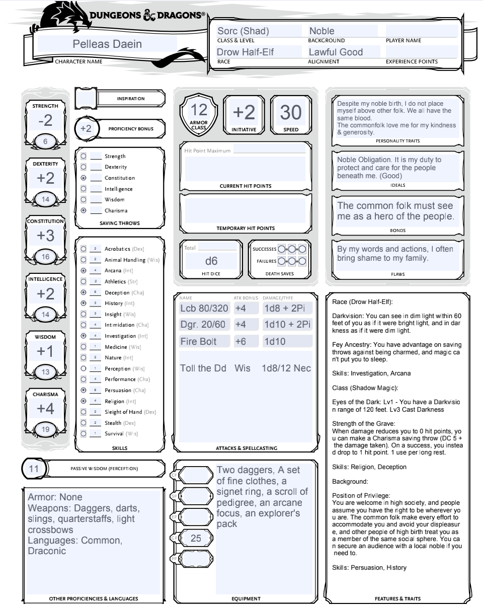 Tried to make a D&D Level 1 Sorcerer character based on Radiant Dawn's