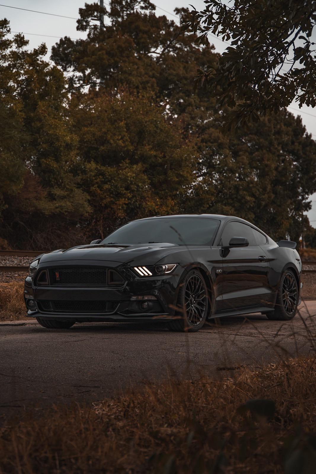 First post in the sub, but this is my second mustang. Got her back in