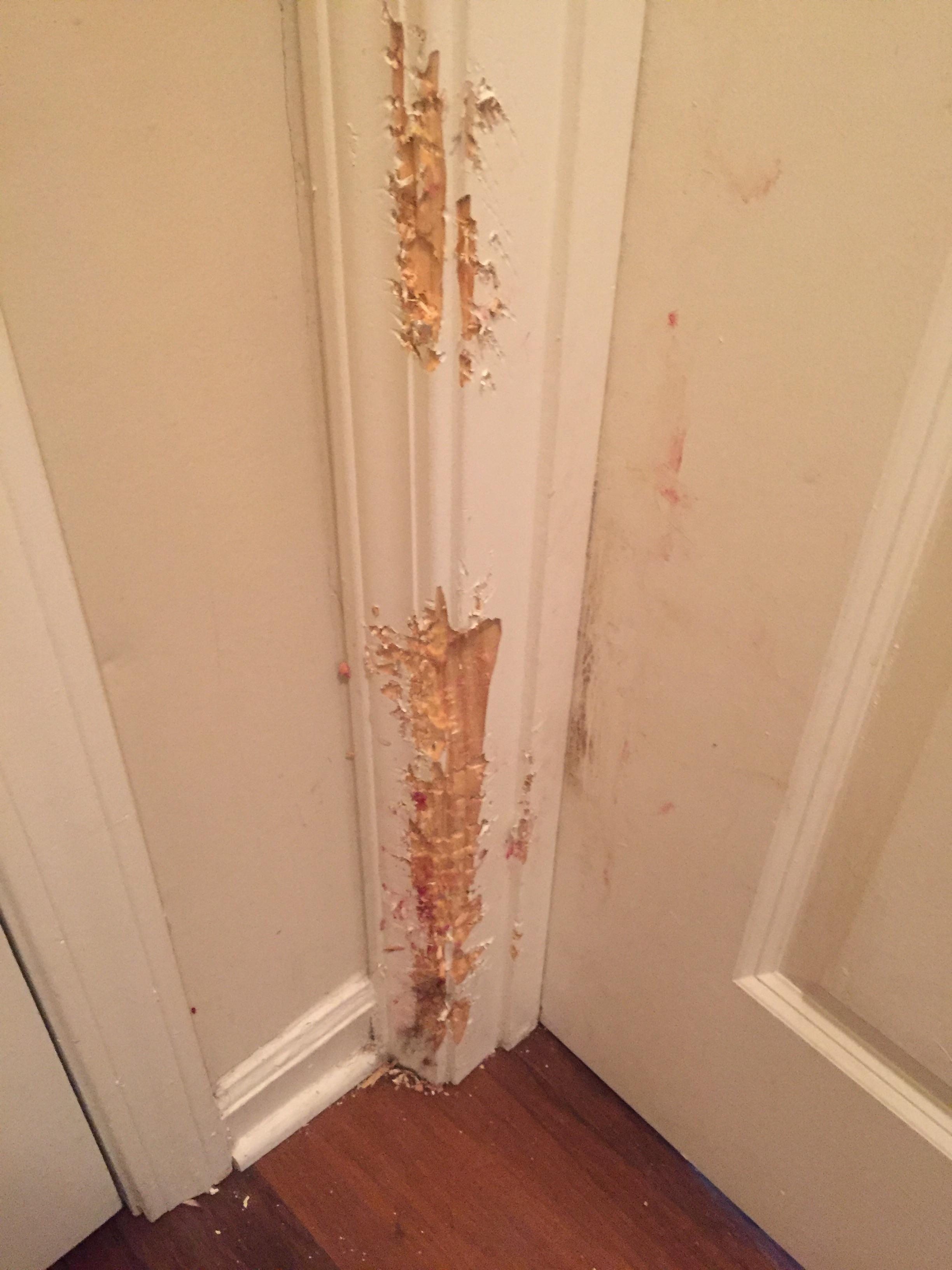 How much would it cost to fix this door panel myself? What is needed