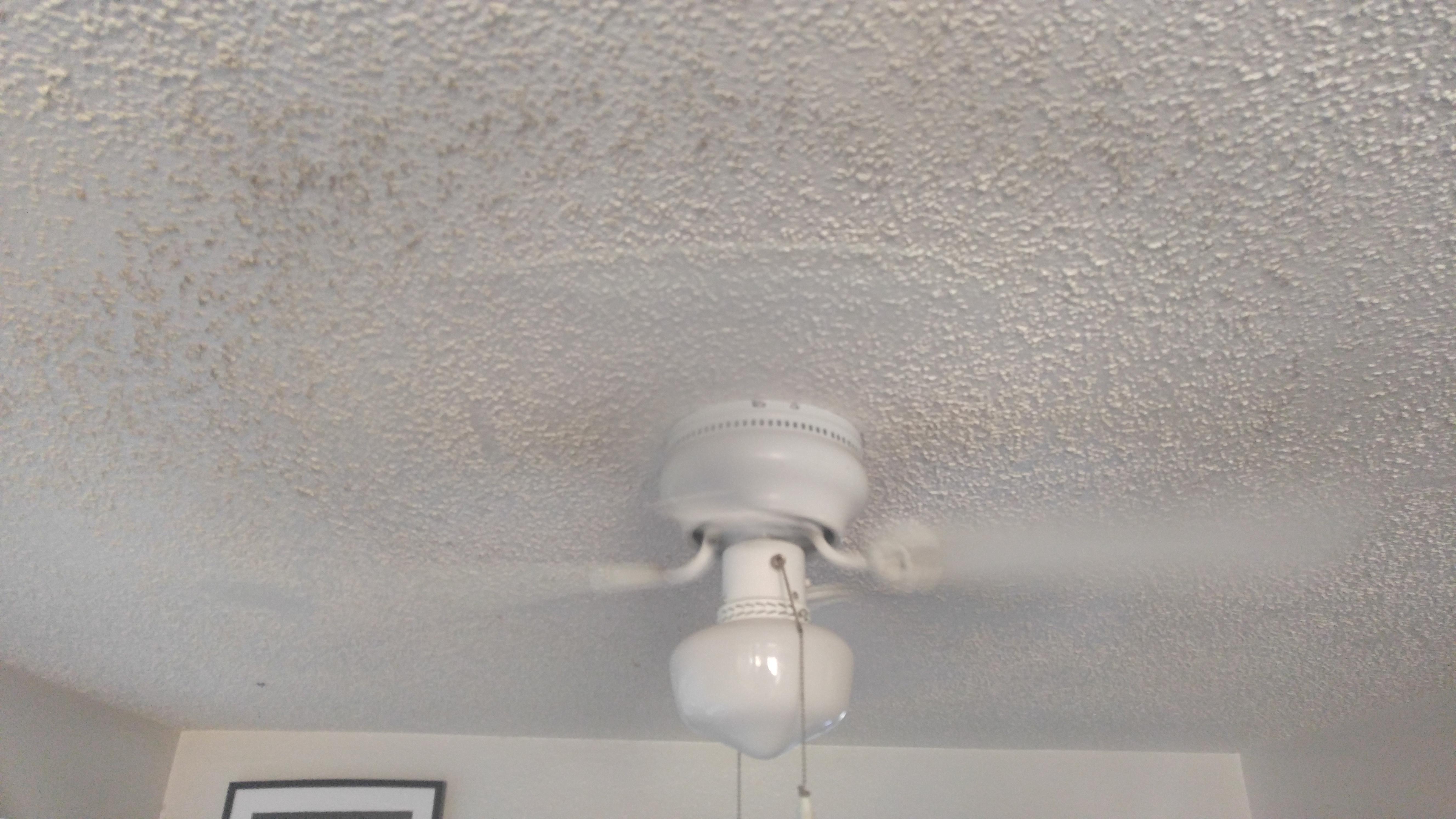 My brother cleaned the fan blades and tried to get the dust ring on the