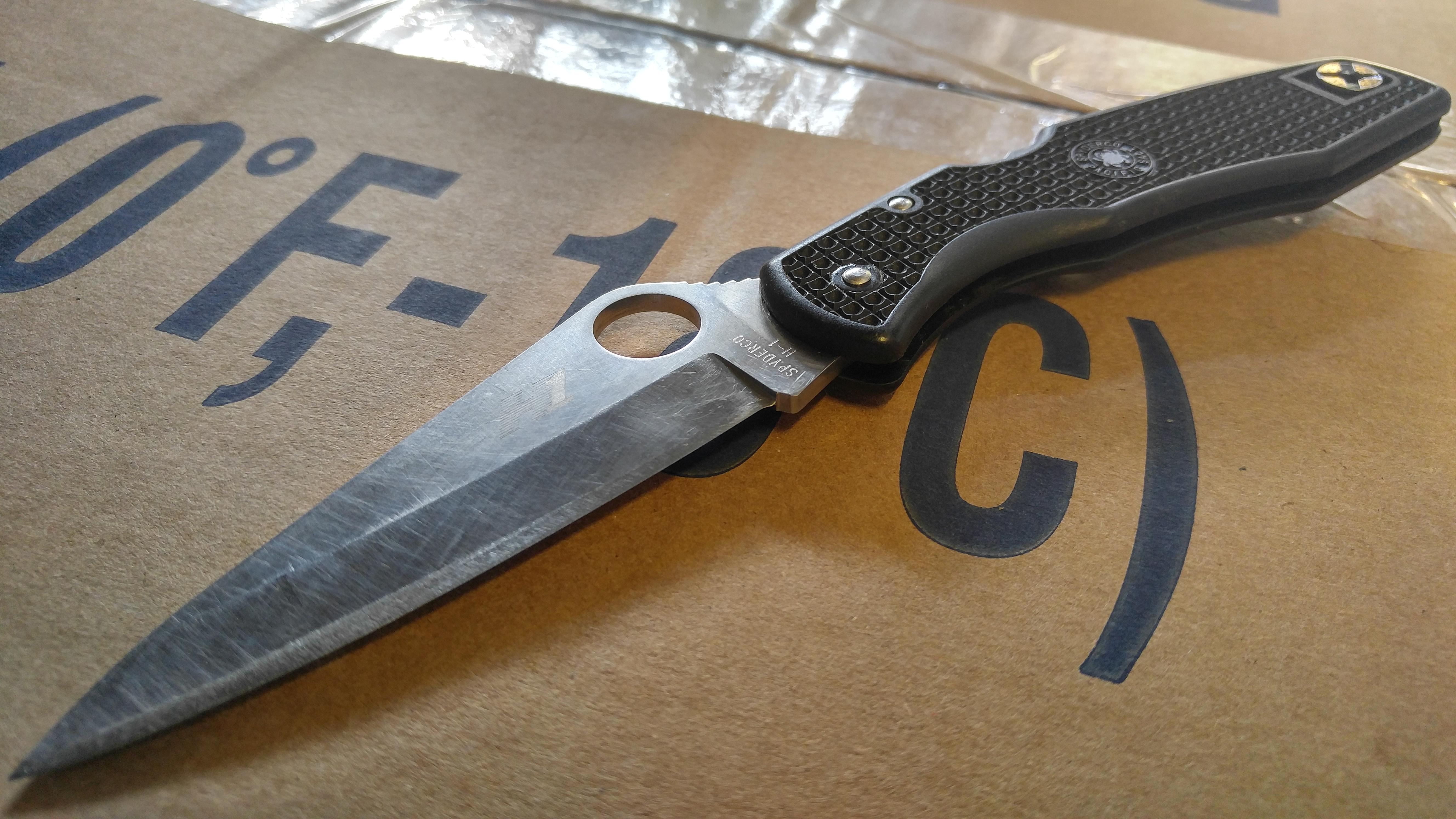 11 year old pocket knife. Spyderco Pacific Salt. r/Wellworn