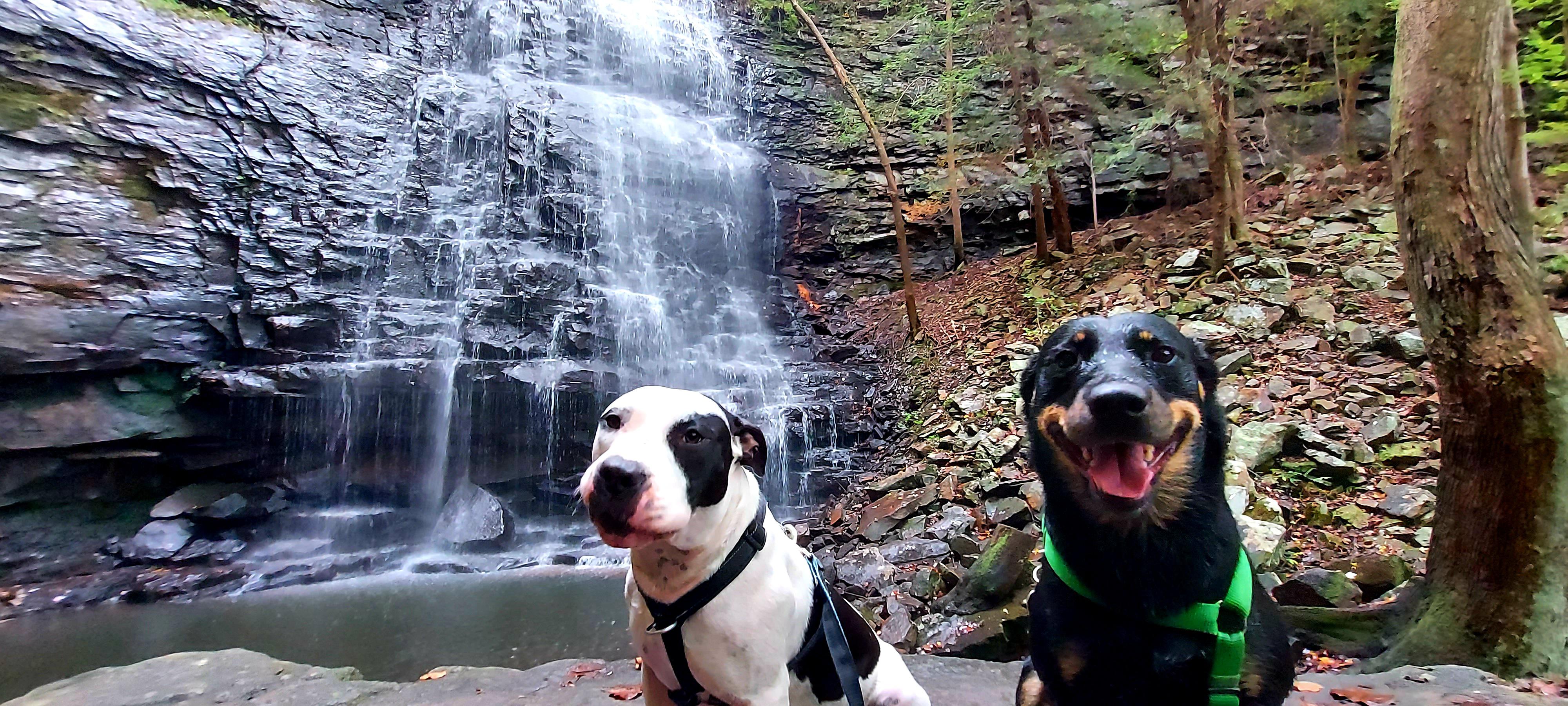 My Trail Runners North Chick Blue Hole hikingwithdogs