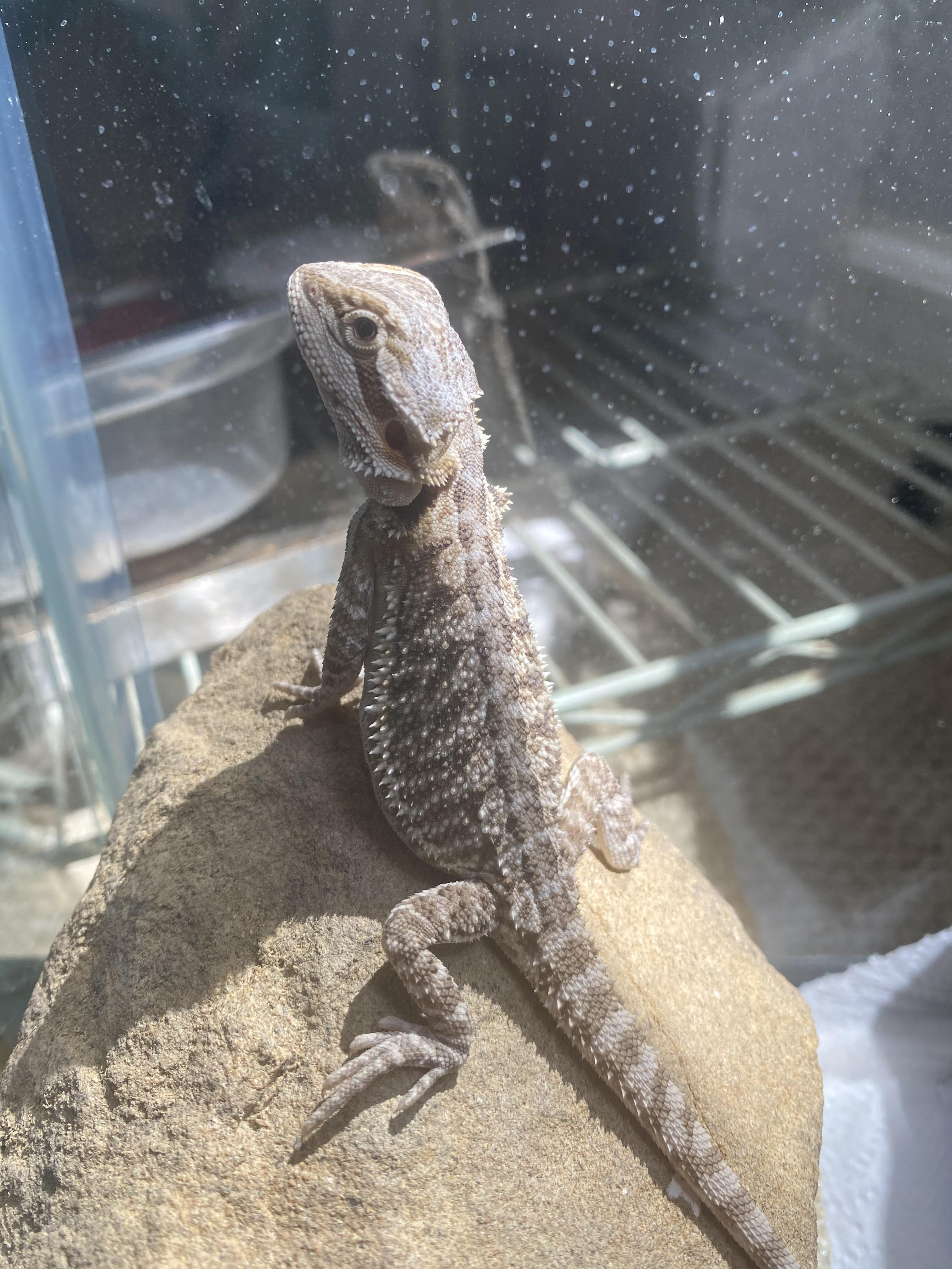 After losing her for over 45 days, she’s looking healthier and better